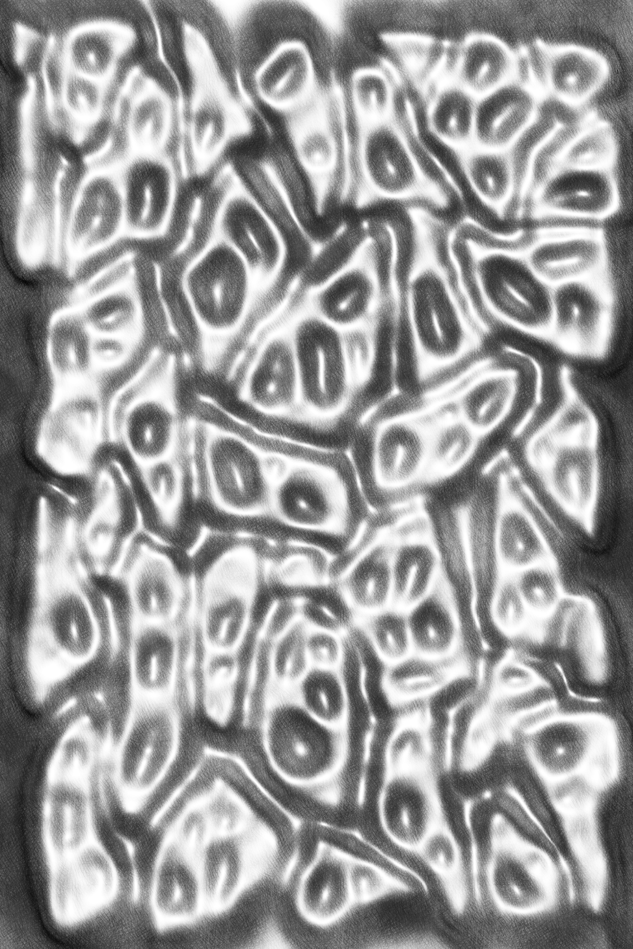 Lacunar Memory Giclée print 17 x 14 in (43.18 x 35.56 cm)