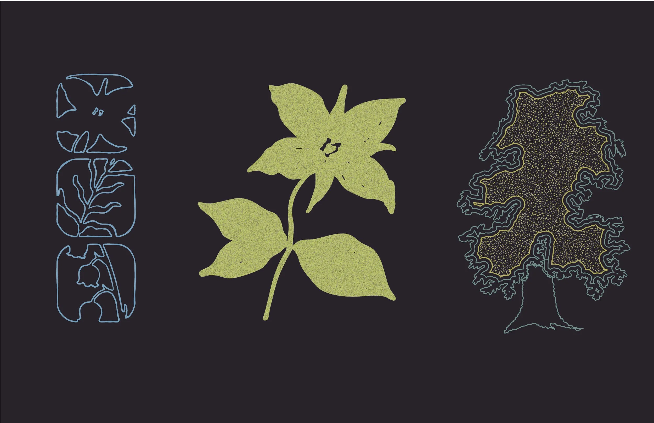 merrell_sketch_page_web.jpg