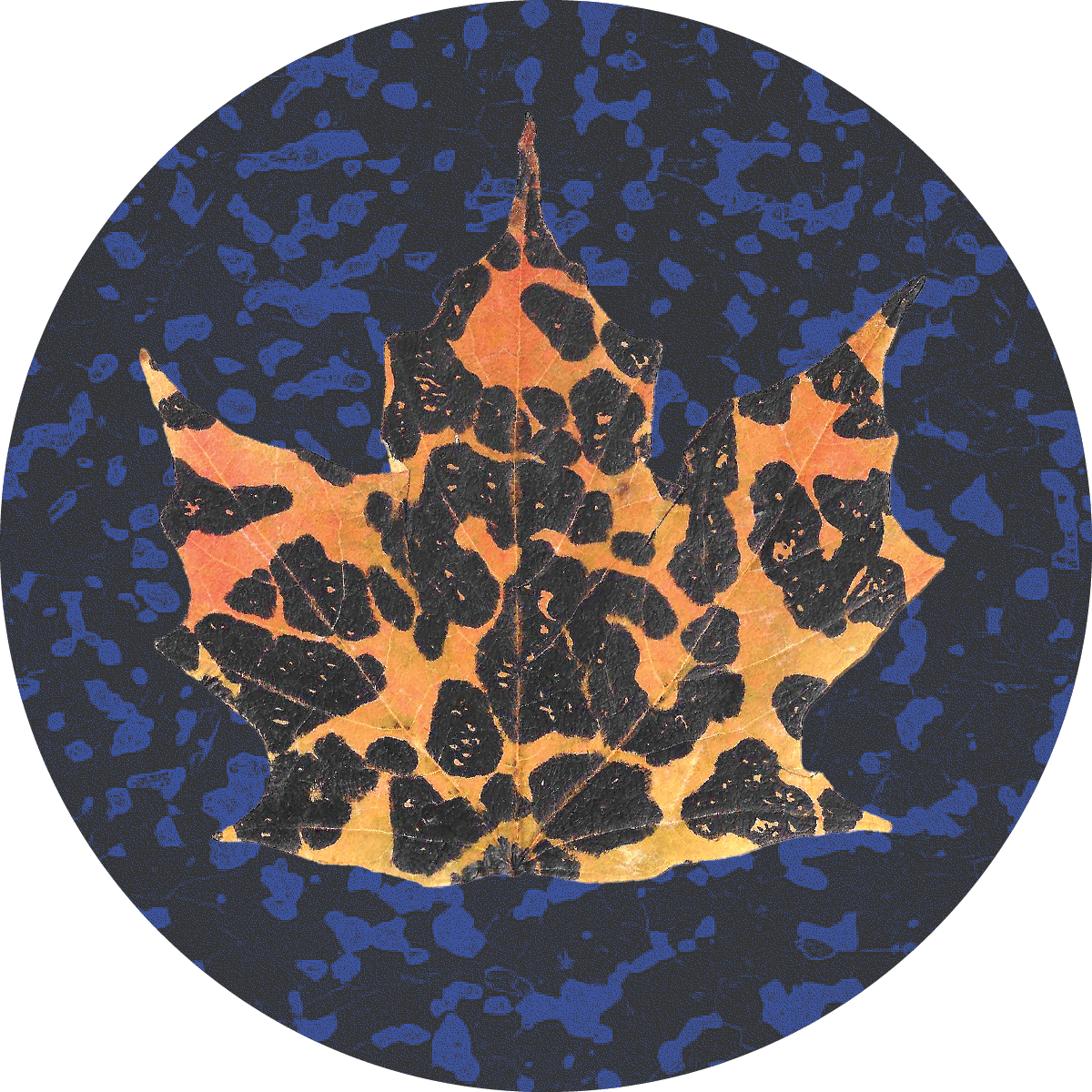 spotted_leaf.png
