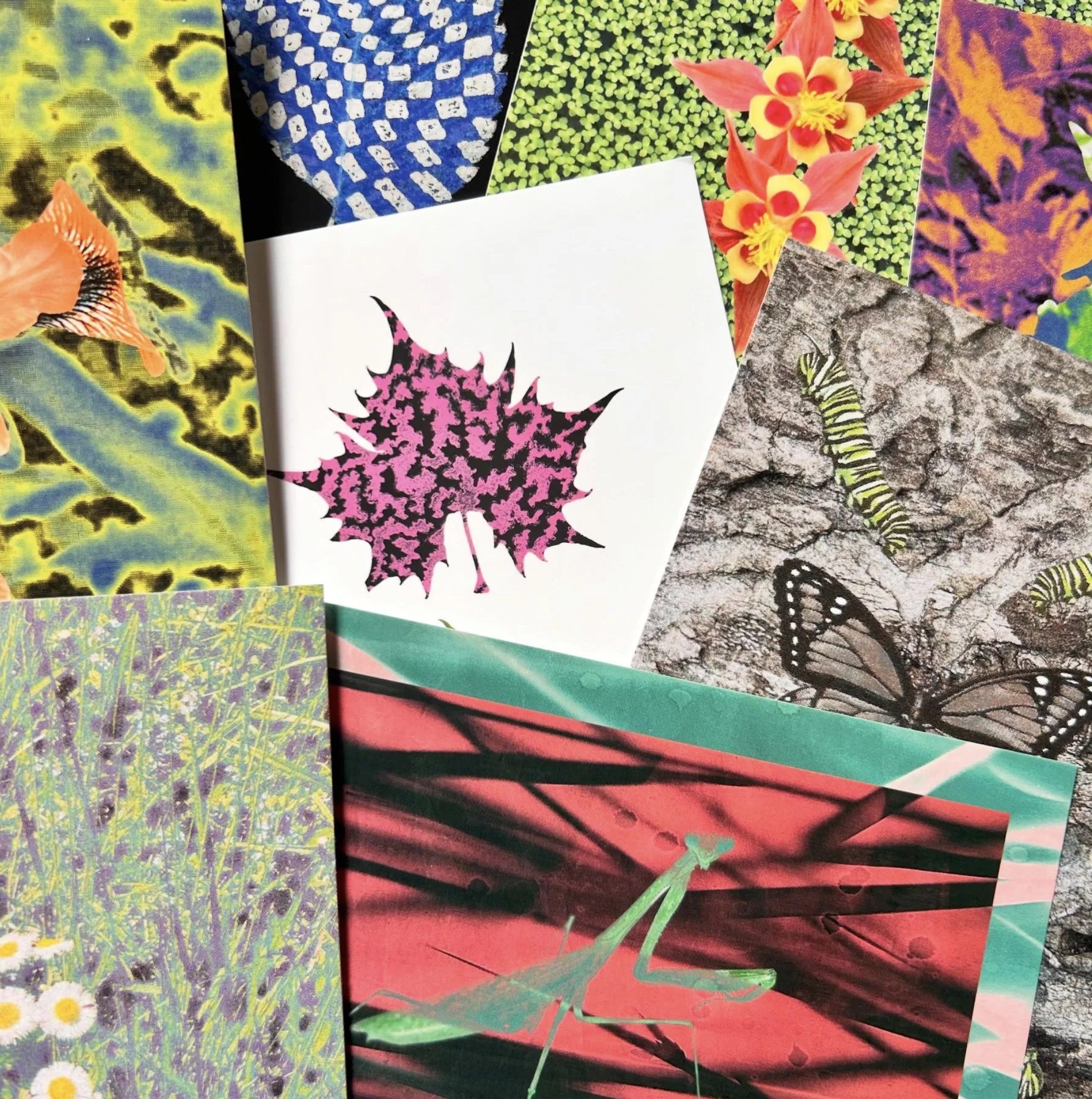 nature postcards .jpg