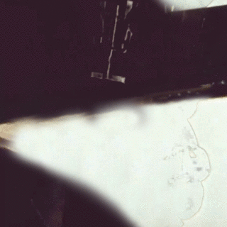 NP PILOT 2.gif