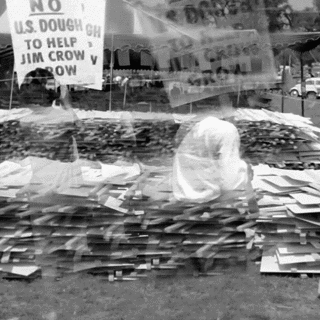 NP Protest Signs 2.gif