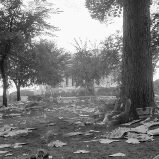NP Protesters under tree 2.gif