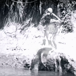 NP SPLASH 2.gif