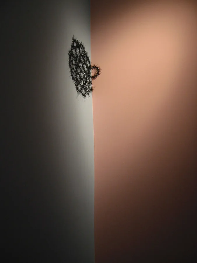 Untitled 2004