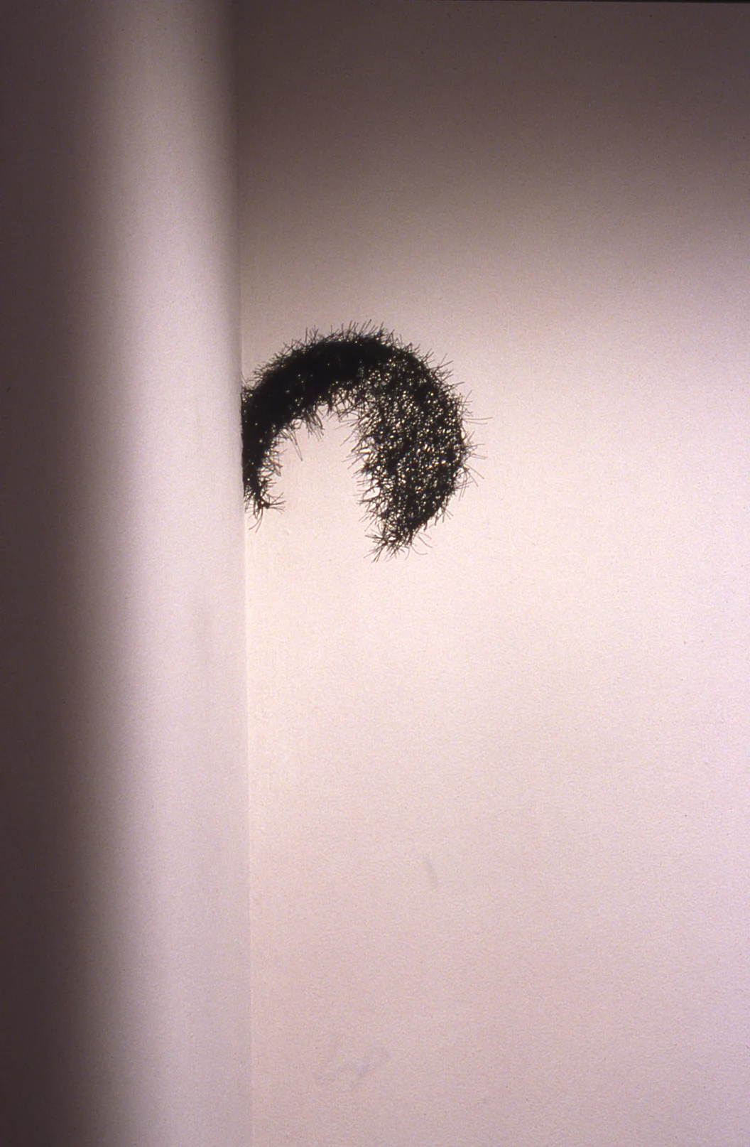 Untitled 2003