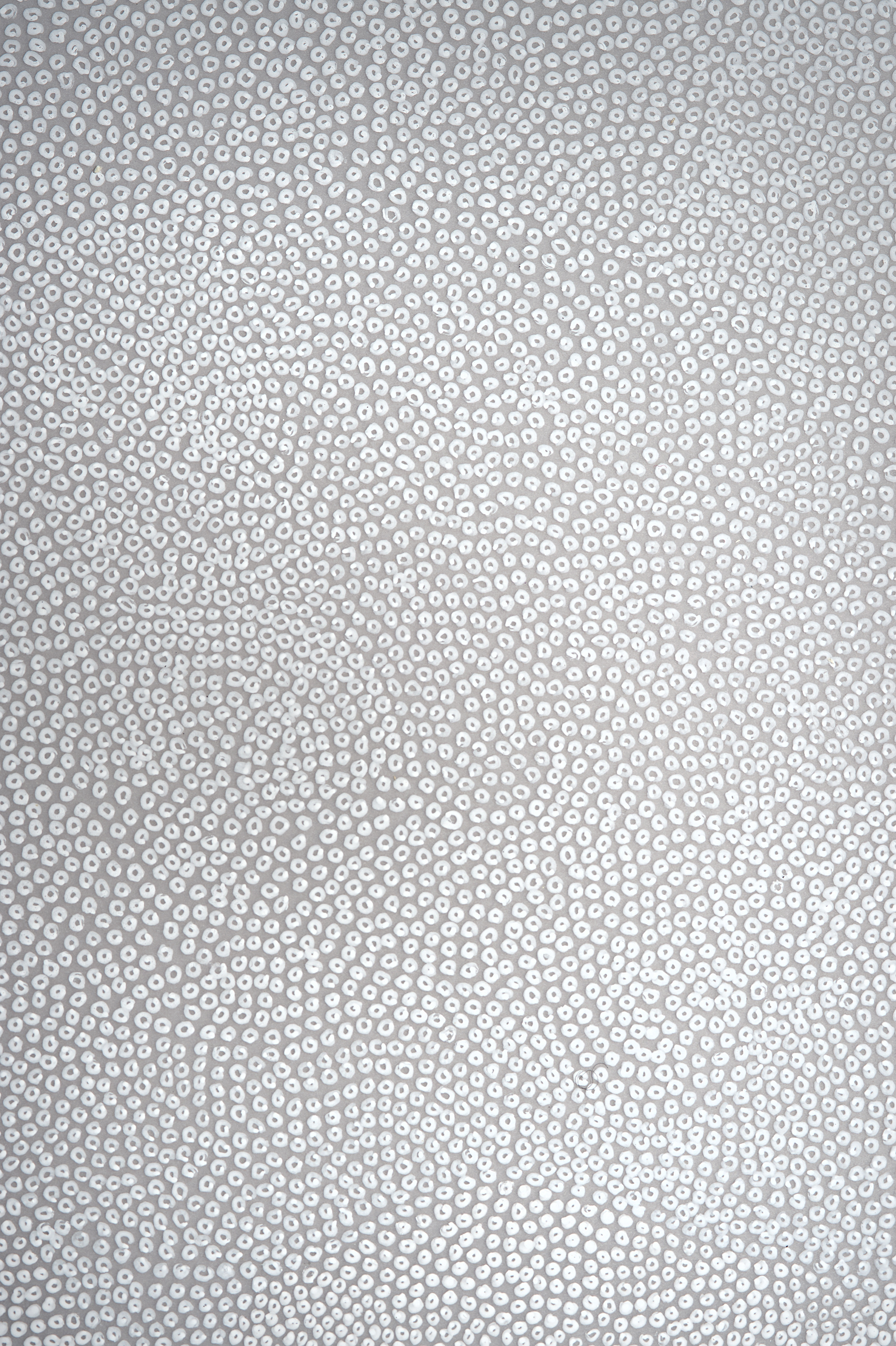 Untitled (Field), detail