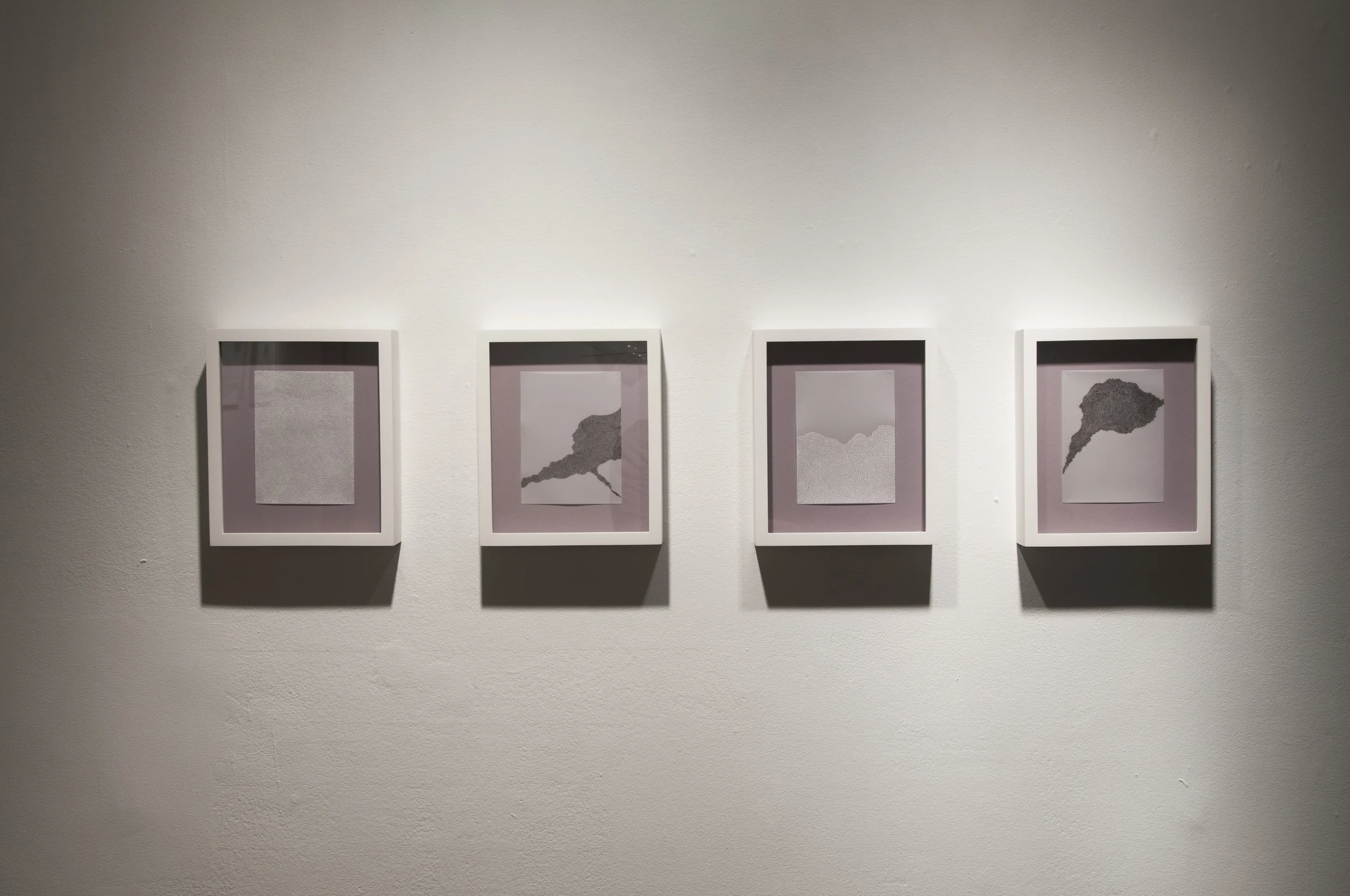 Tsunami | Meander | Field | Trek