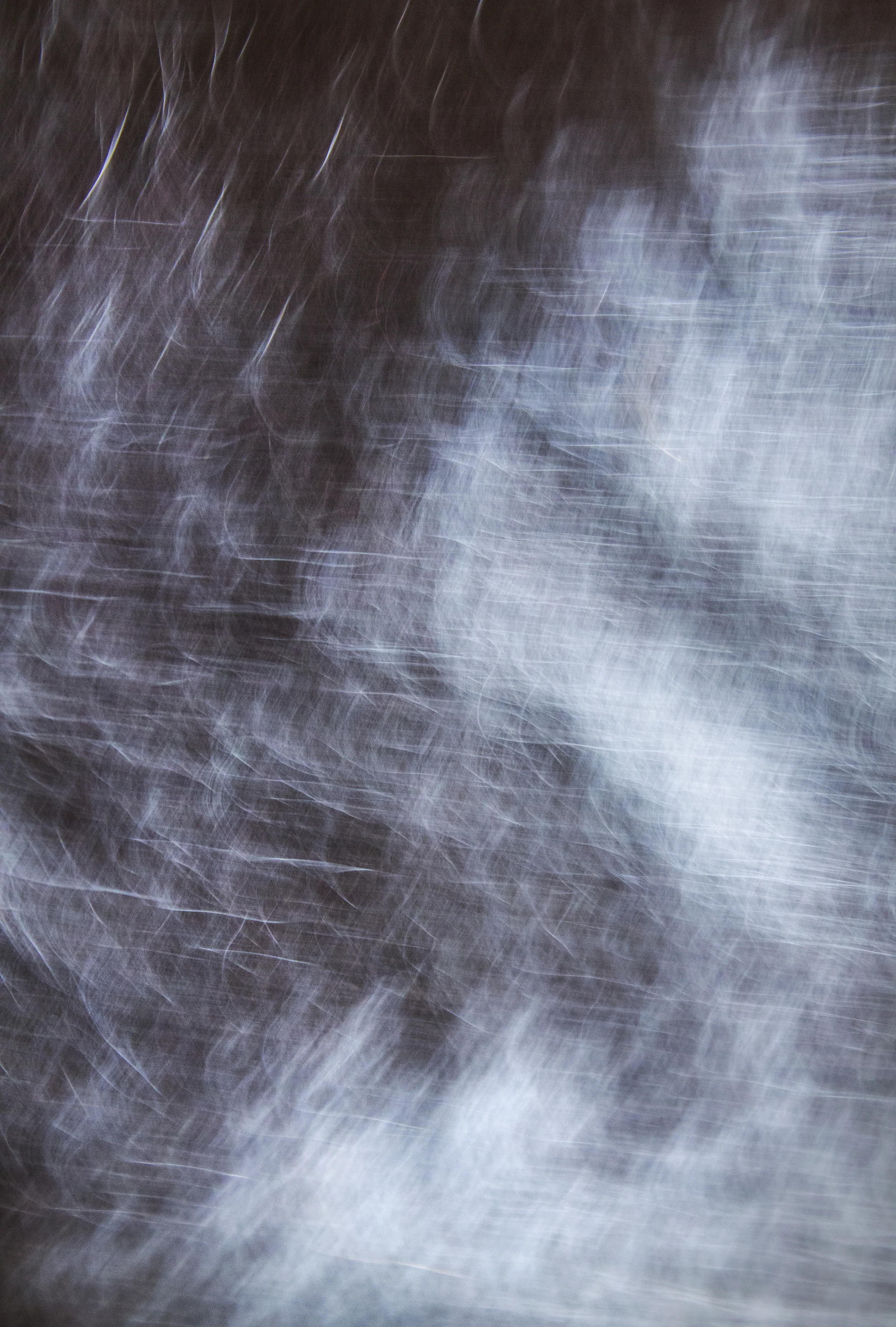 Untitled (Chiara III)