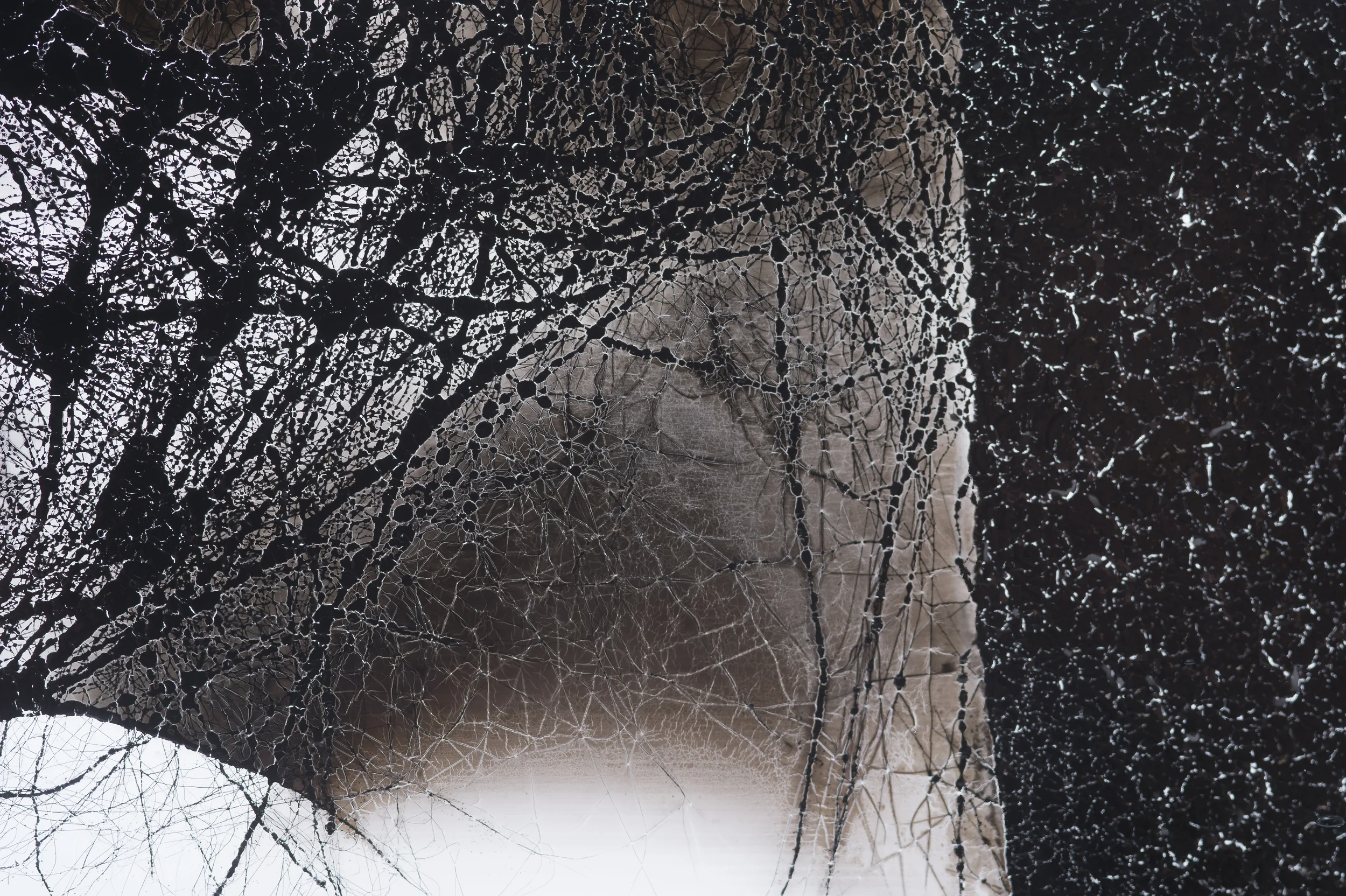 mona tufts detail.jpg