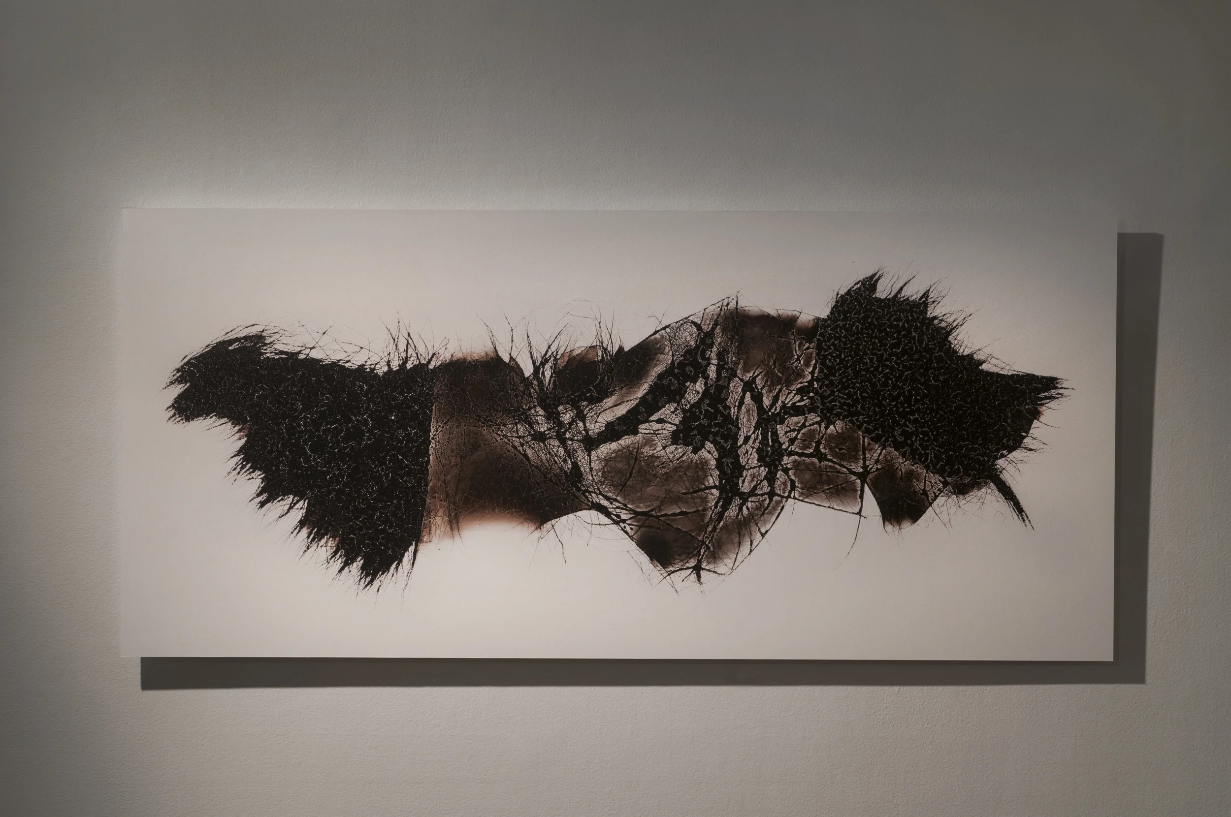 sharyn luna copy.jpg