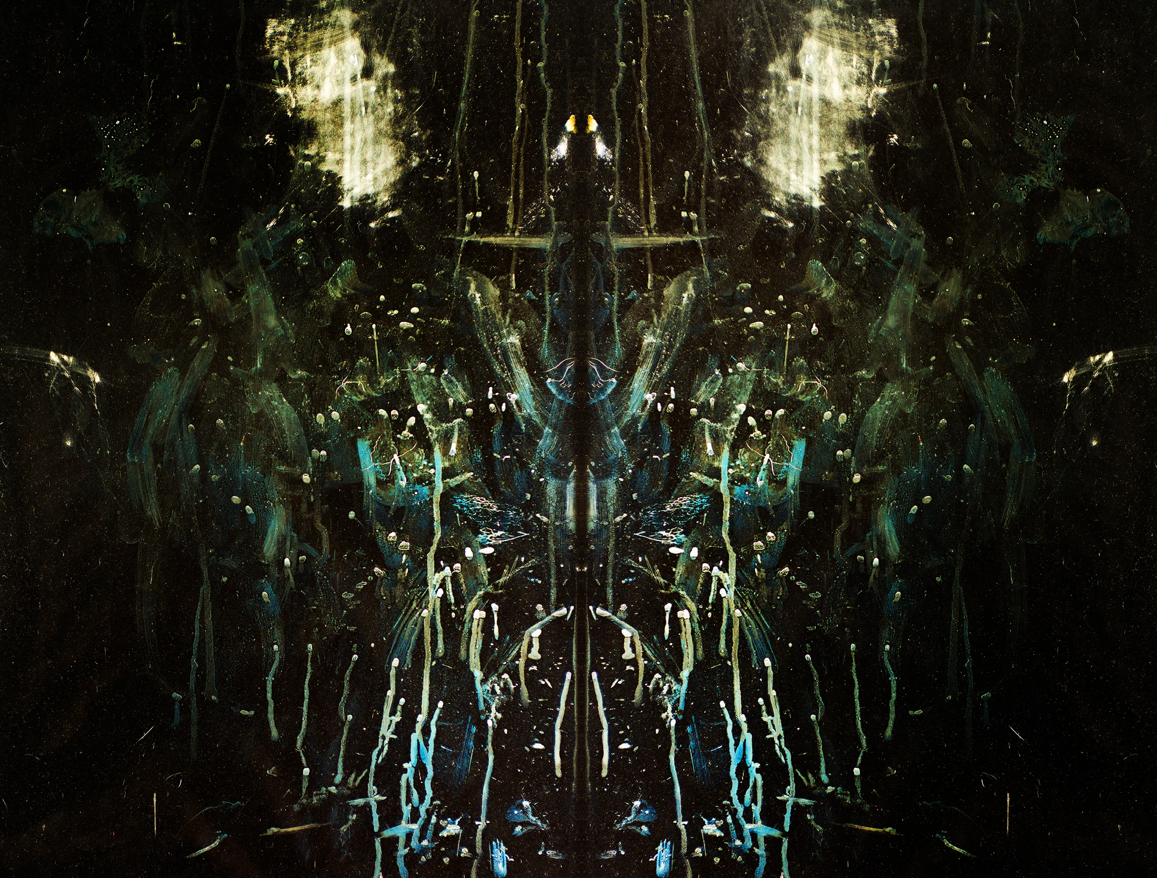 Chandelier for an entomologist