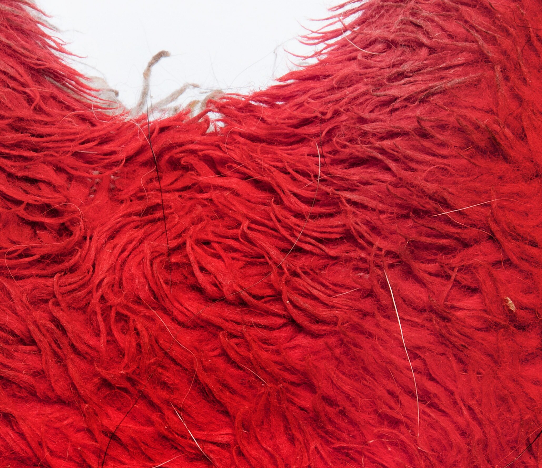 Recto/Verso (detail)