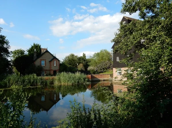 Millpond, Houghton Mill, the Fens, Cambridgeshire, UK (Jul 2014)
