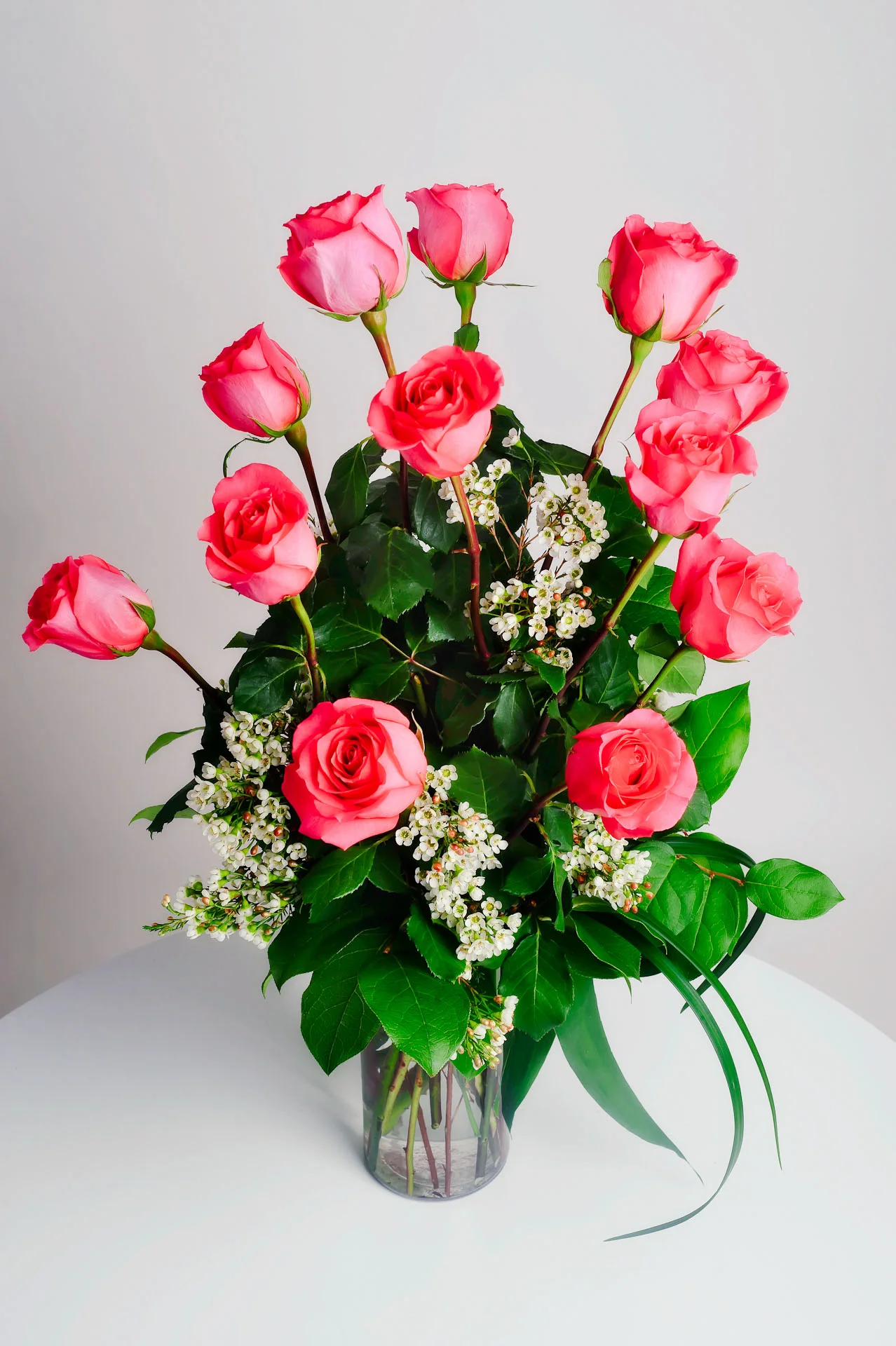 20100204-0690.jpg