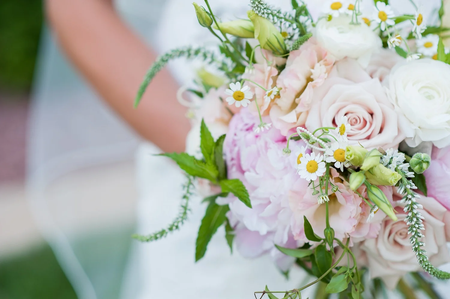 photo credit | aimee lee photography