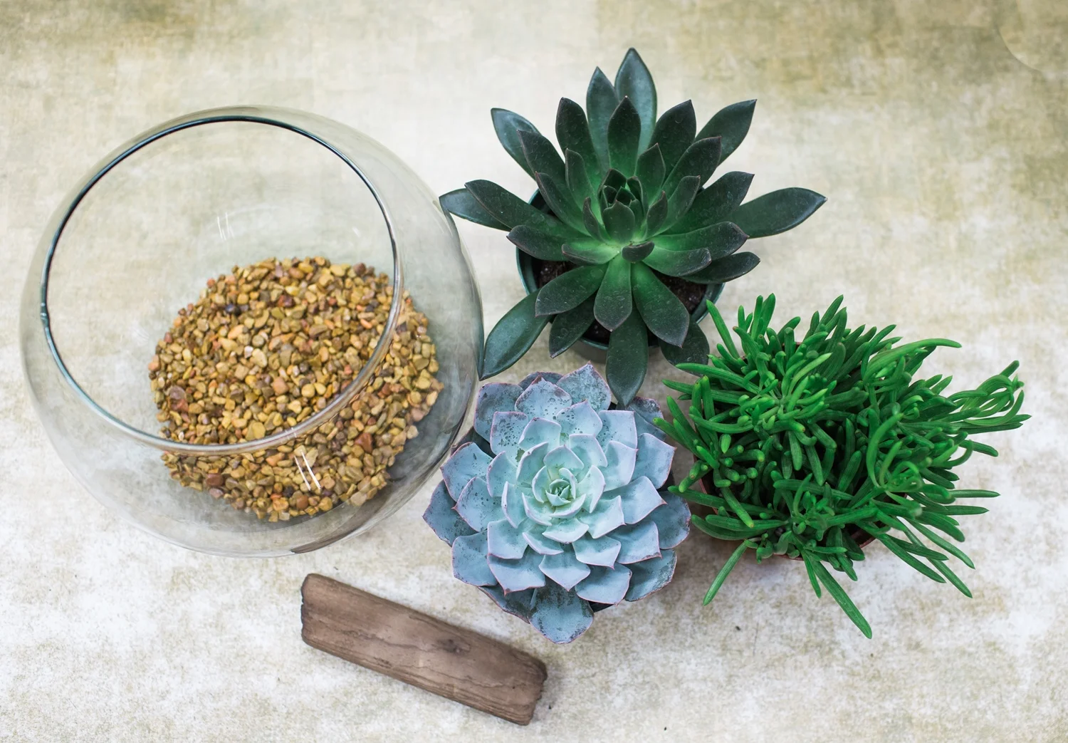 Nov Plant Night-43.jpg