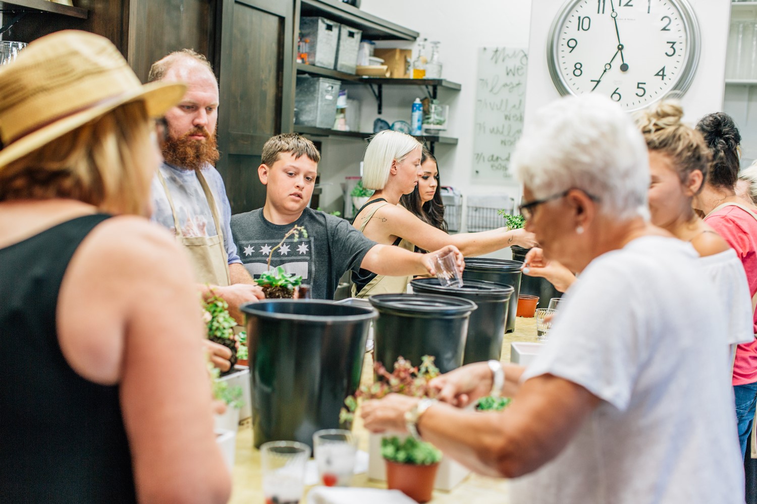 bloom city plant night