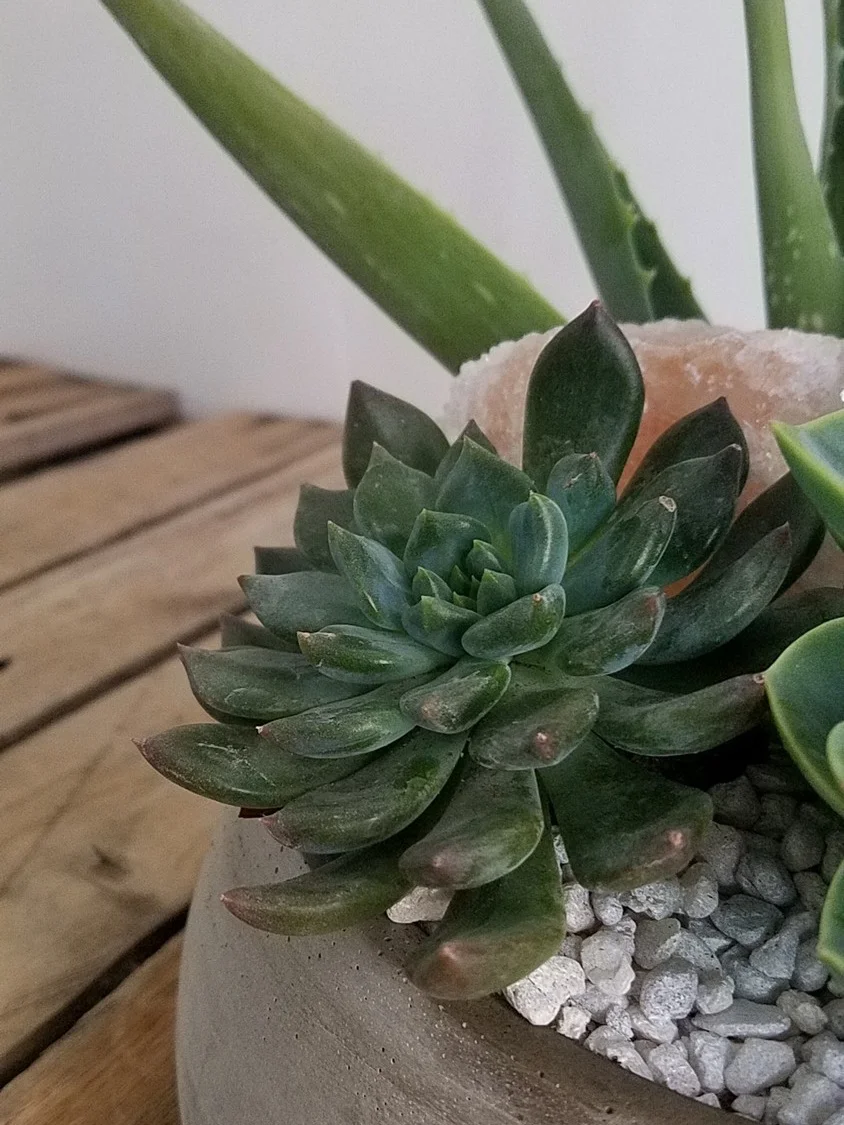 20180316_161757.jpg
