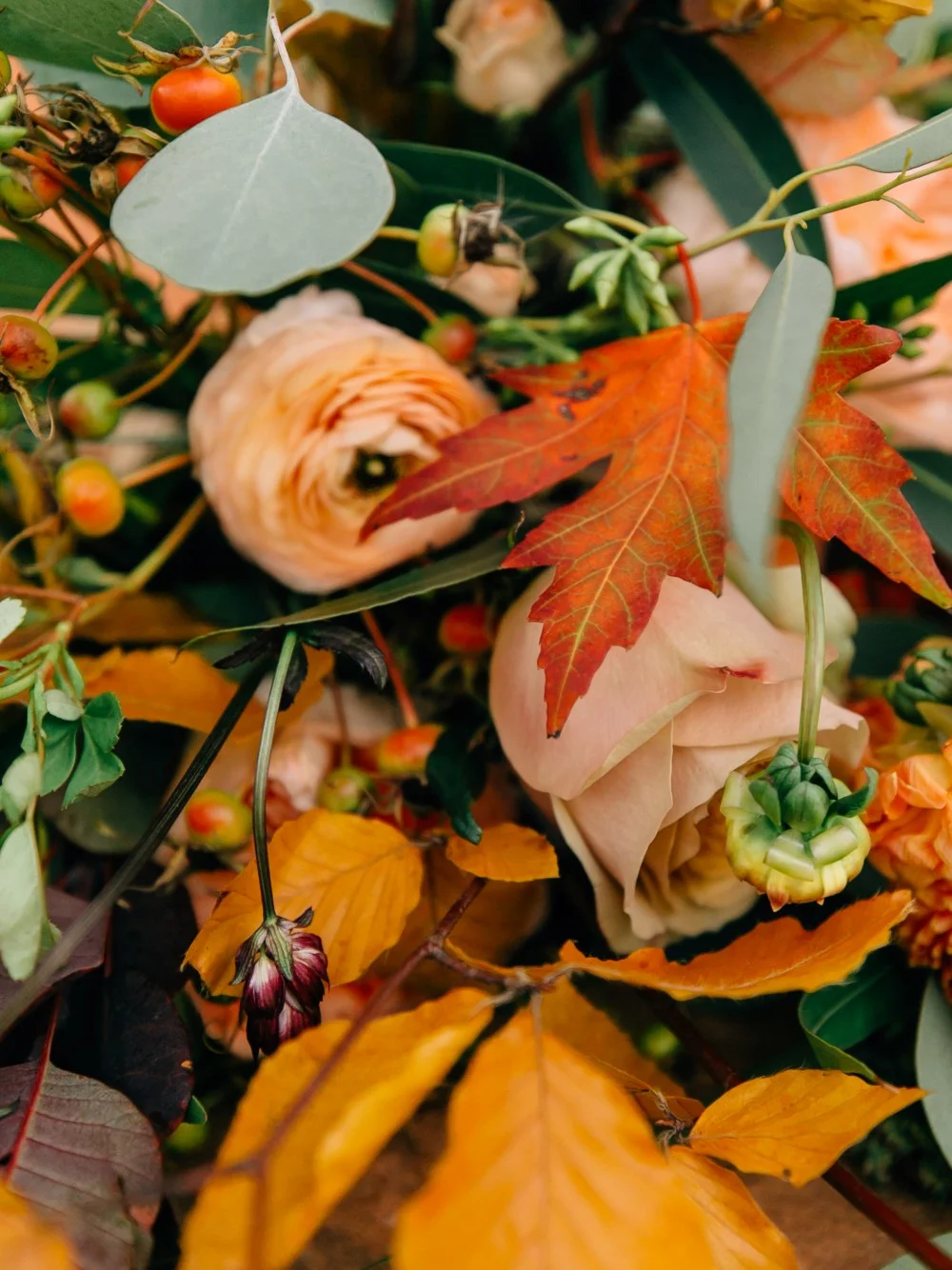 fall blooms