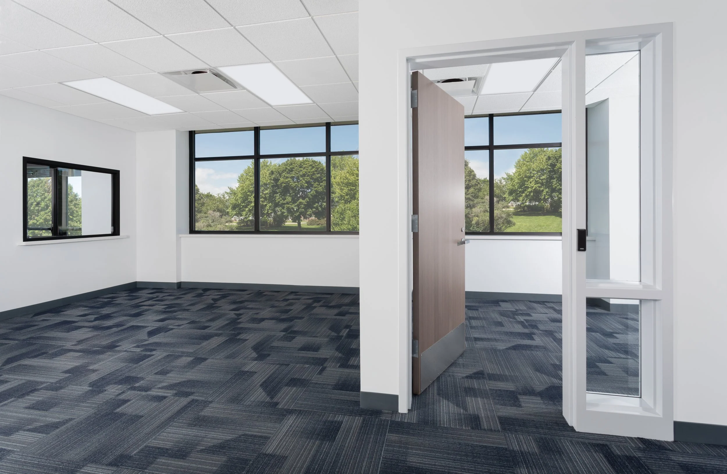 Empty office with white walls, large windows with a view of trees, black window frames, gray carpet, and open door