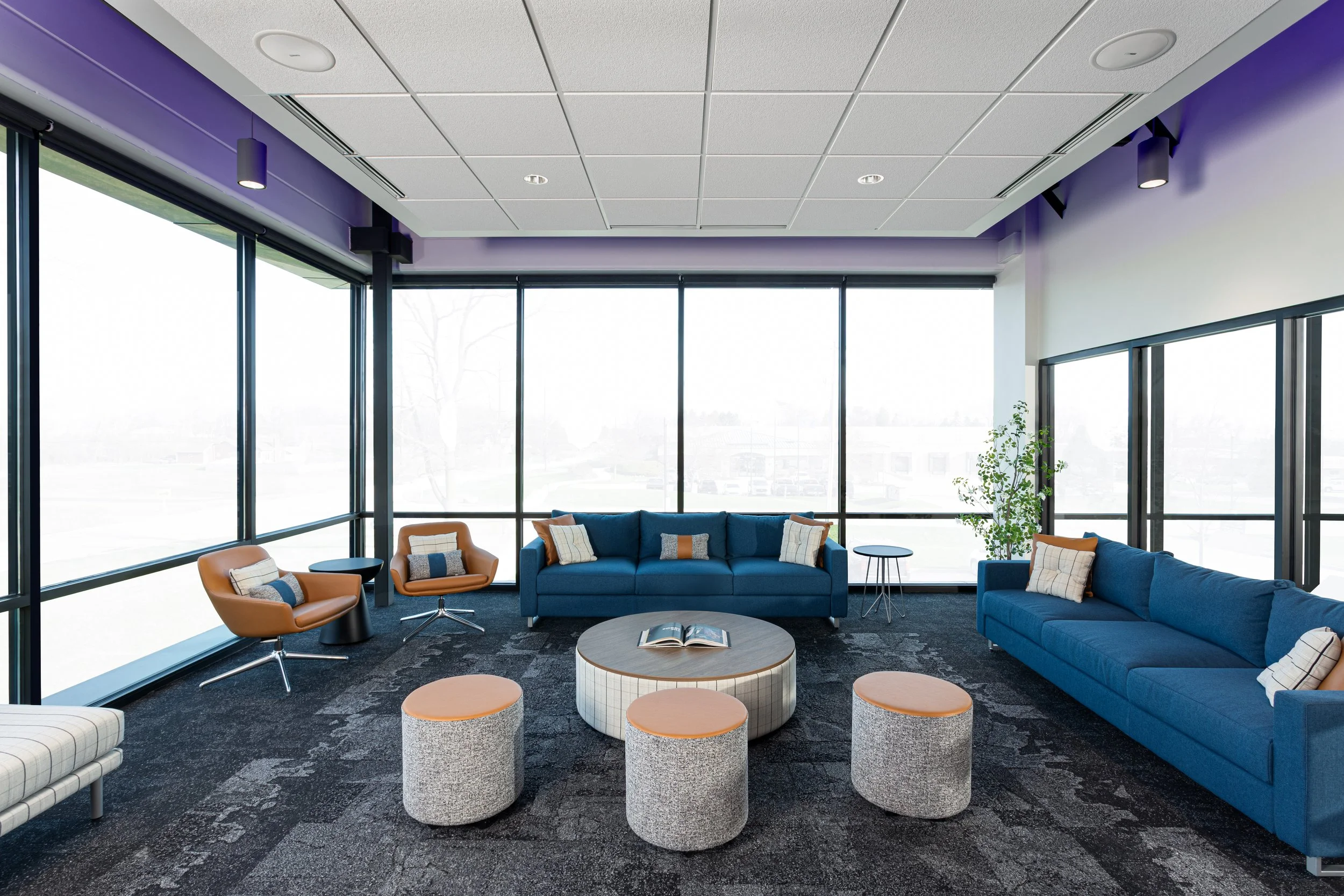 Modern lounge area with blue sofas, orange and beige chairs, round coffee table with open book, and small round stools on dark patterned carpet, surrounded by large windows letting in natural light.