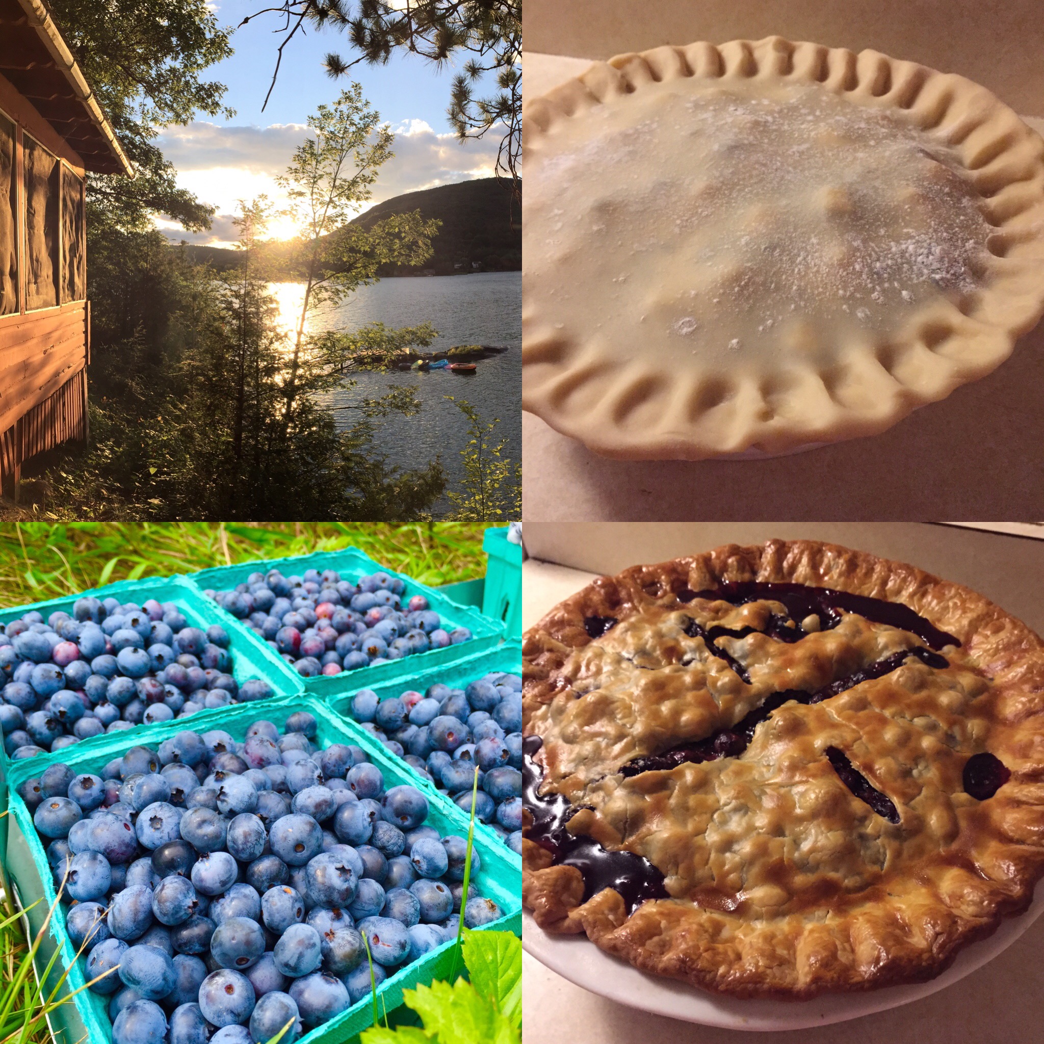   Lake George blueberry picking and pie-making.  