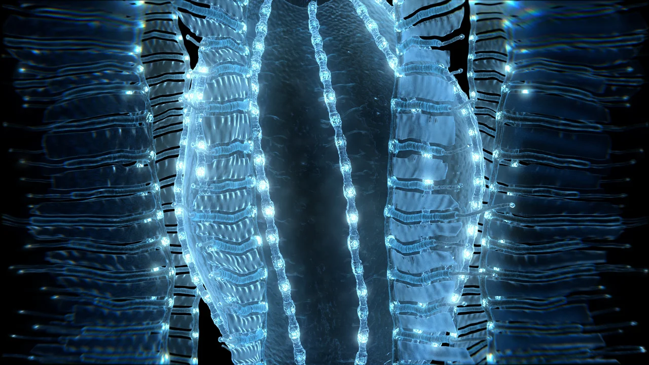 KOL_03_BIOLUM_0001_01_A (00891).jpg