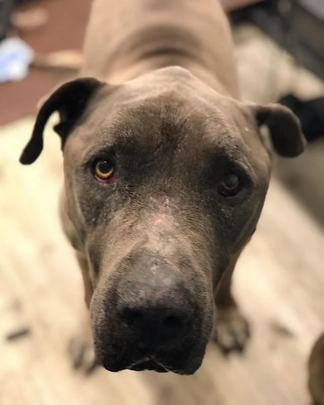 Very focused Bullet. 😊