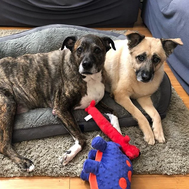 Happy thanksgiving!!