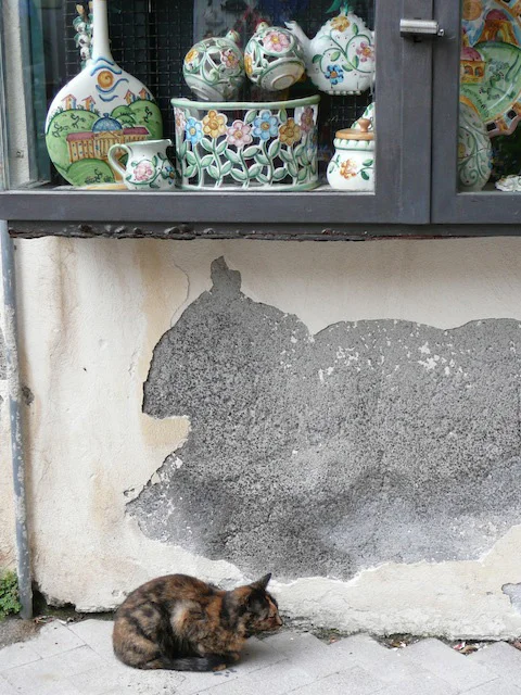 graphic_photo_5.jpg