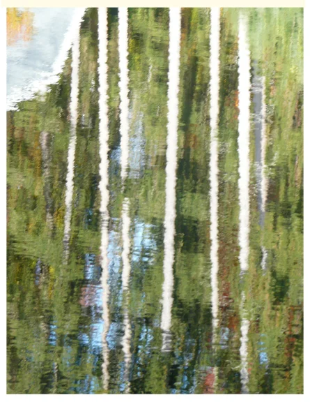 ss_digital_illustration_reflection_quaker_pond_2.jpg