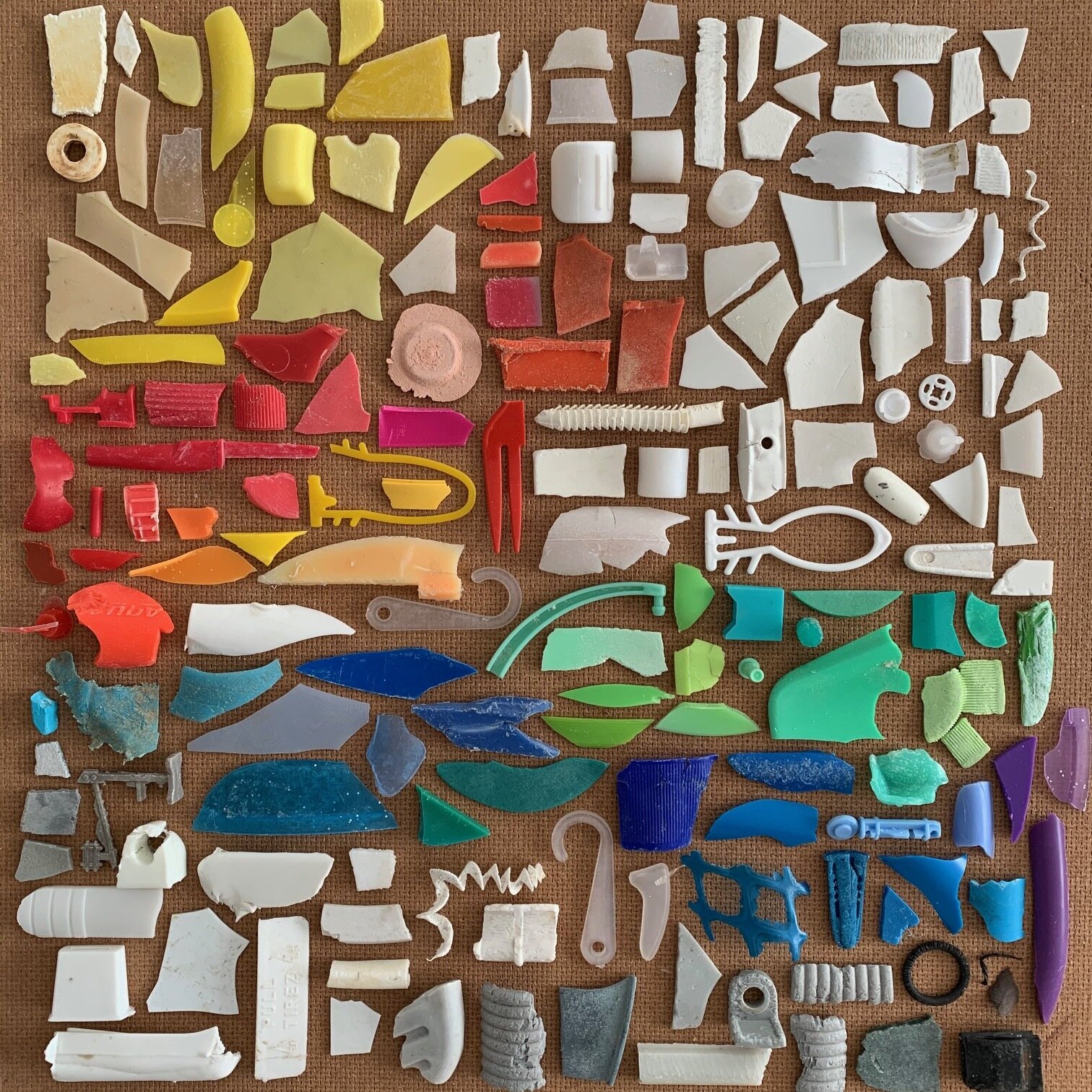 ブルードッグ様専用-