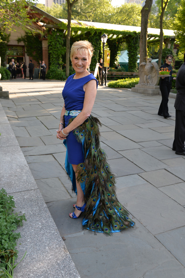 Peacock_Dress2.jpg