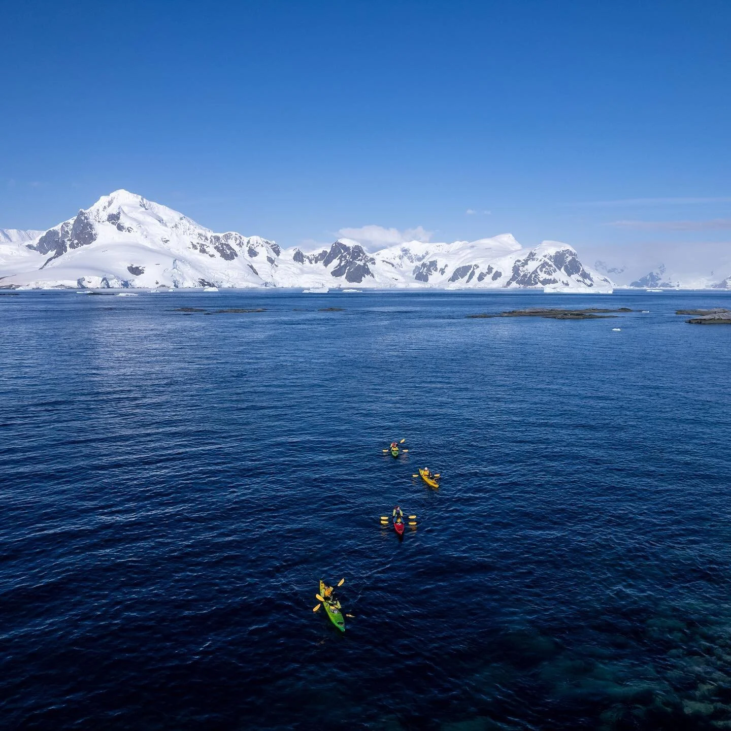 Whale watching &amp; viewing penguin colonies from the water. 

Client: @walkingsofter 
📍: Antarctica