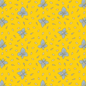 CK_PTN_067a