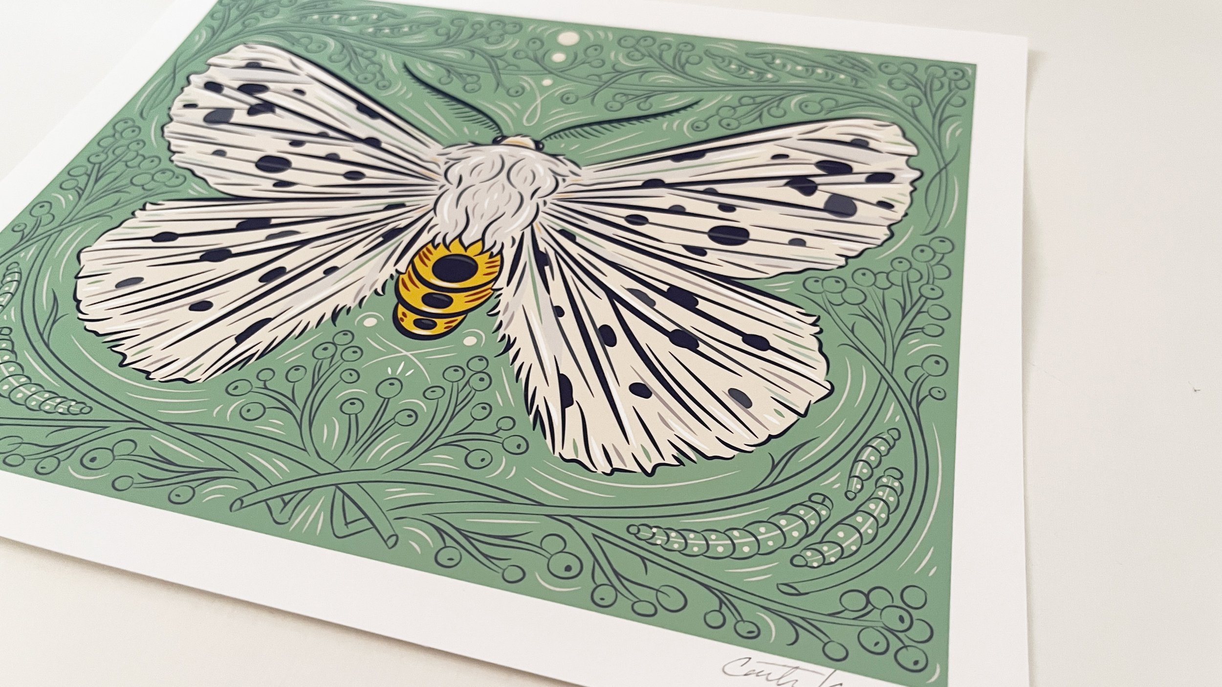 Caitlin-Keegan-White-Ermine-Moth-02.jpg