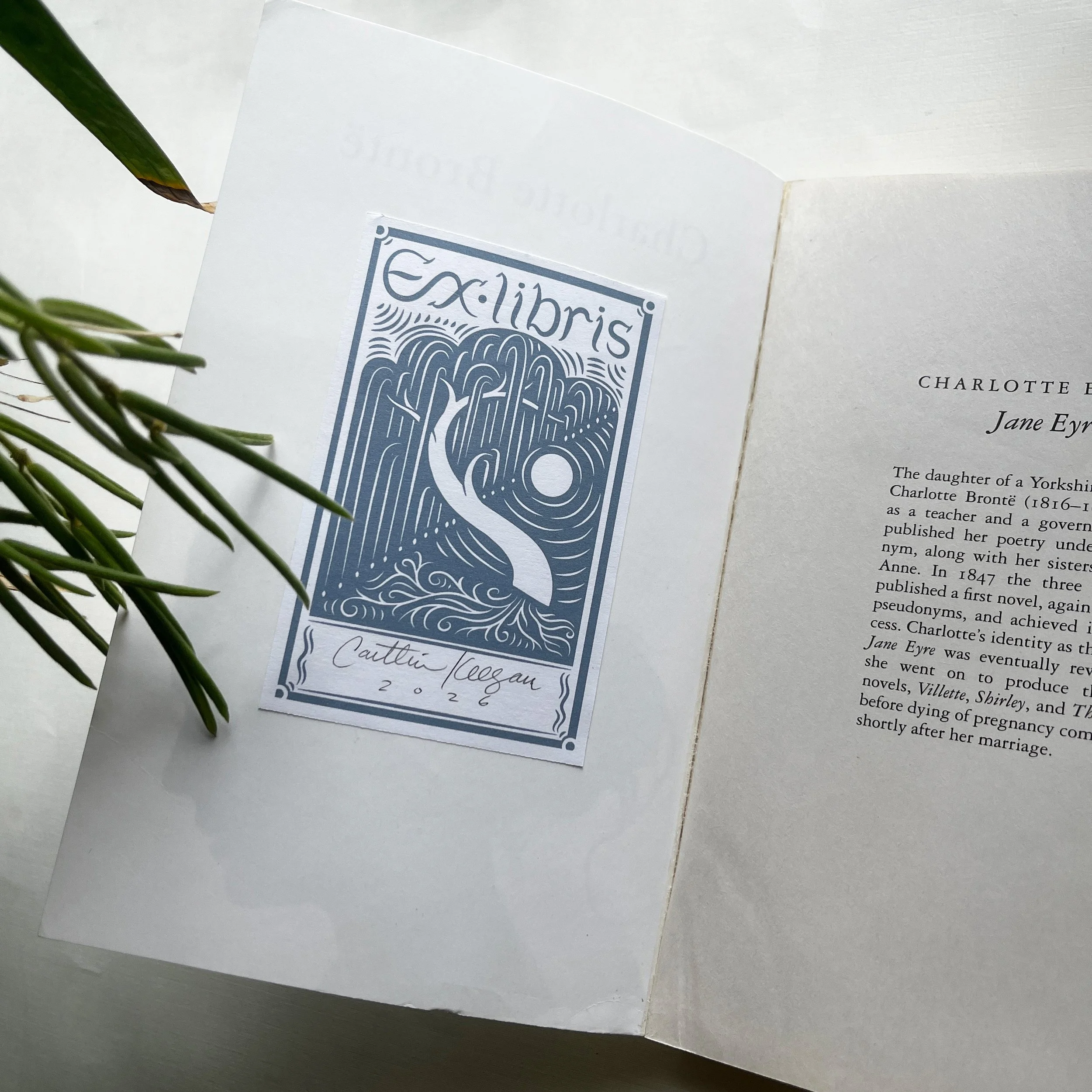Caitlin-Keegan-Weeping-Willow-Bookplate-Book02.jpg