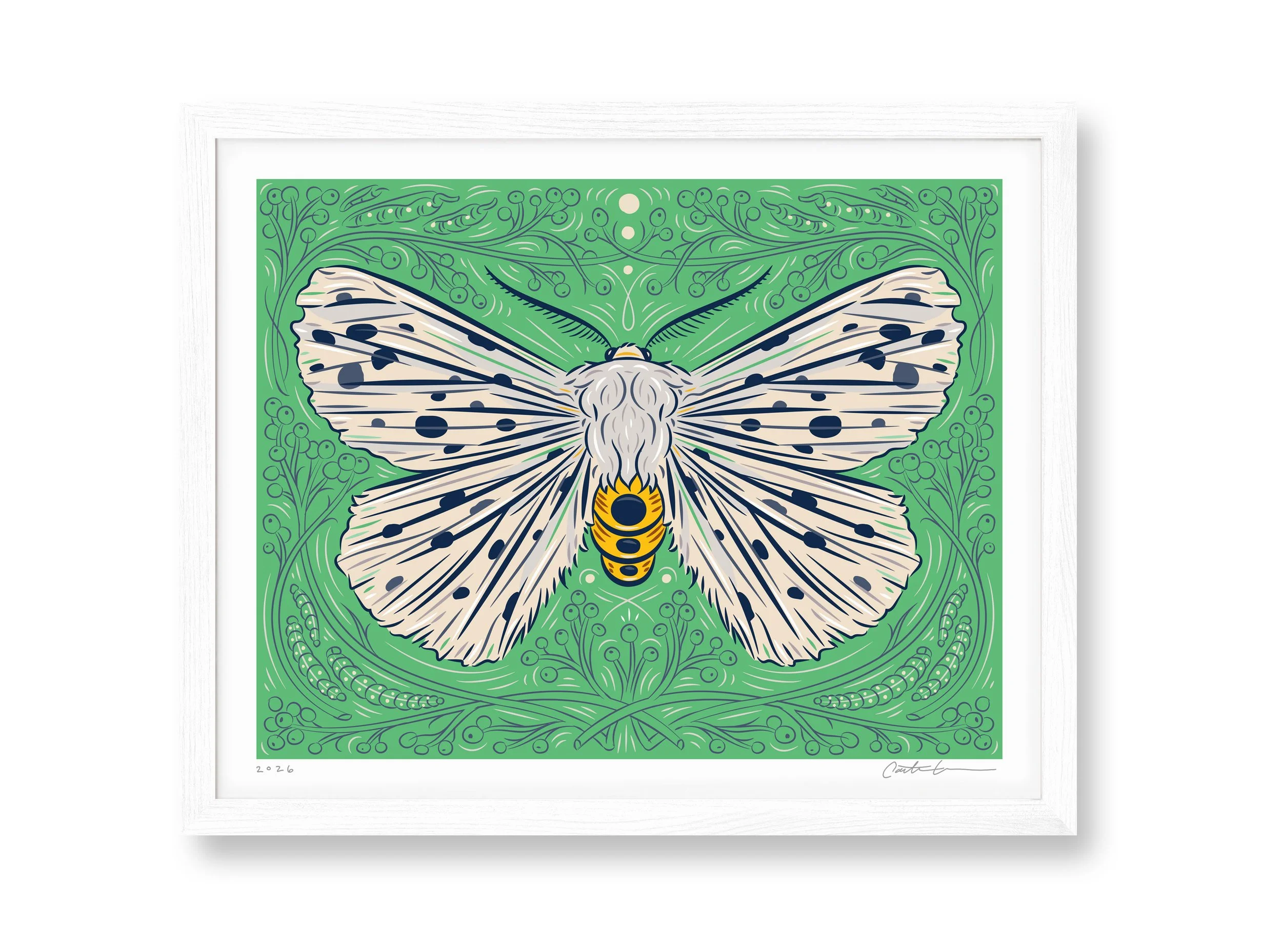 Caitlin-Keegan-White-Ermine-Moth-Framed.jpg