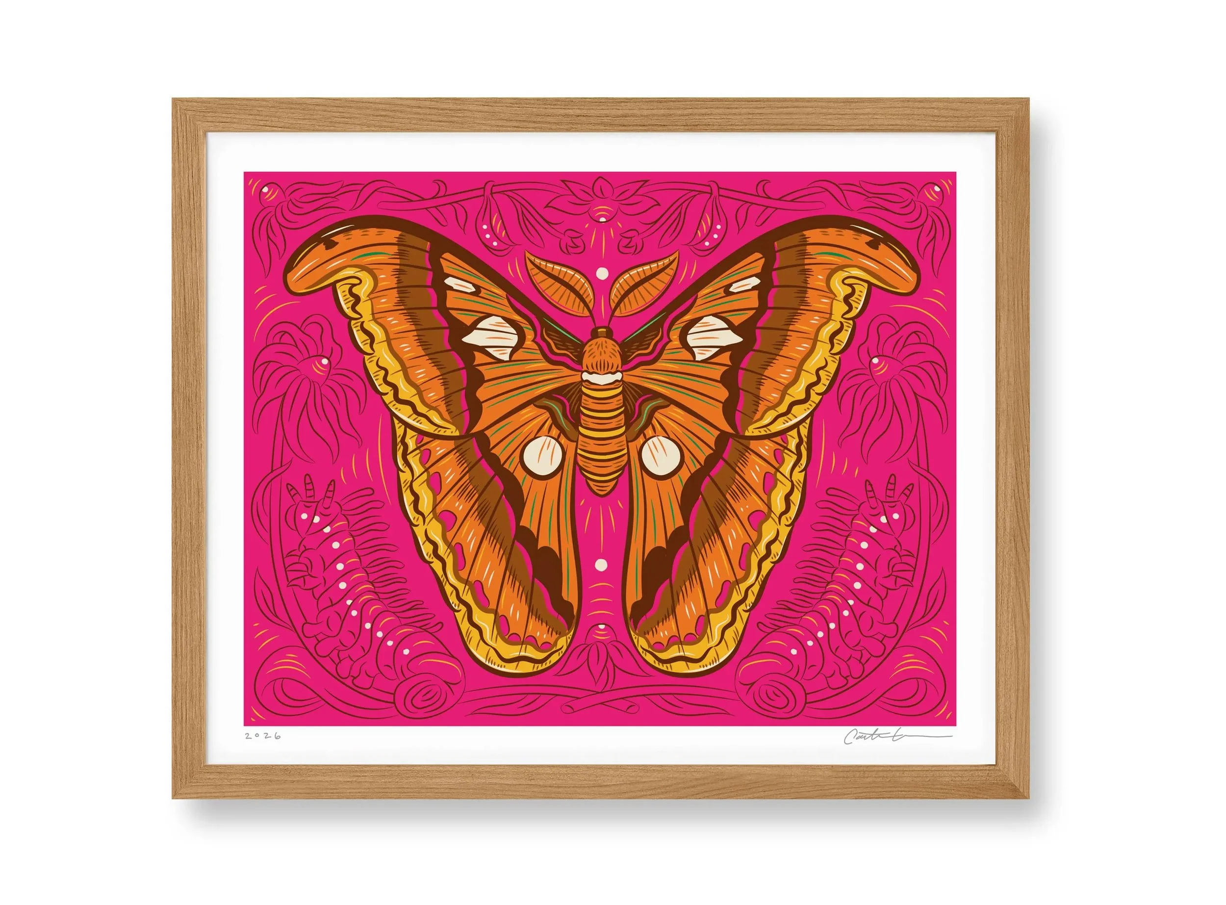 Caitlin-Keegan-Atlas-Moth-Framed.jpg