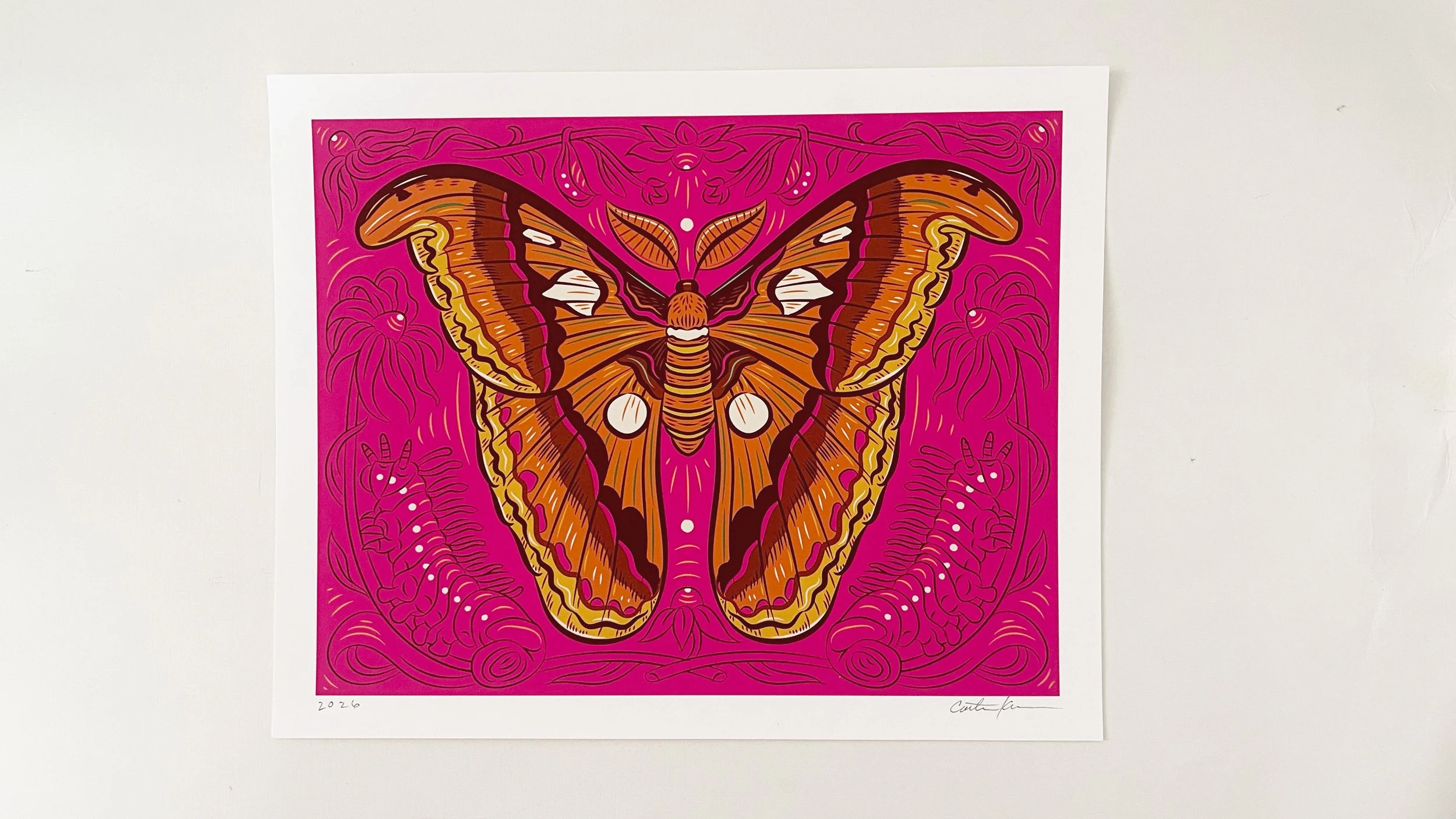 Caitlin-Keegan-Atlas-Moth-01.jpg