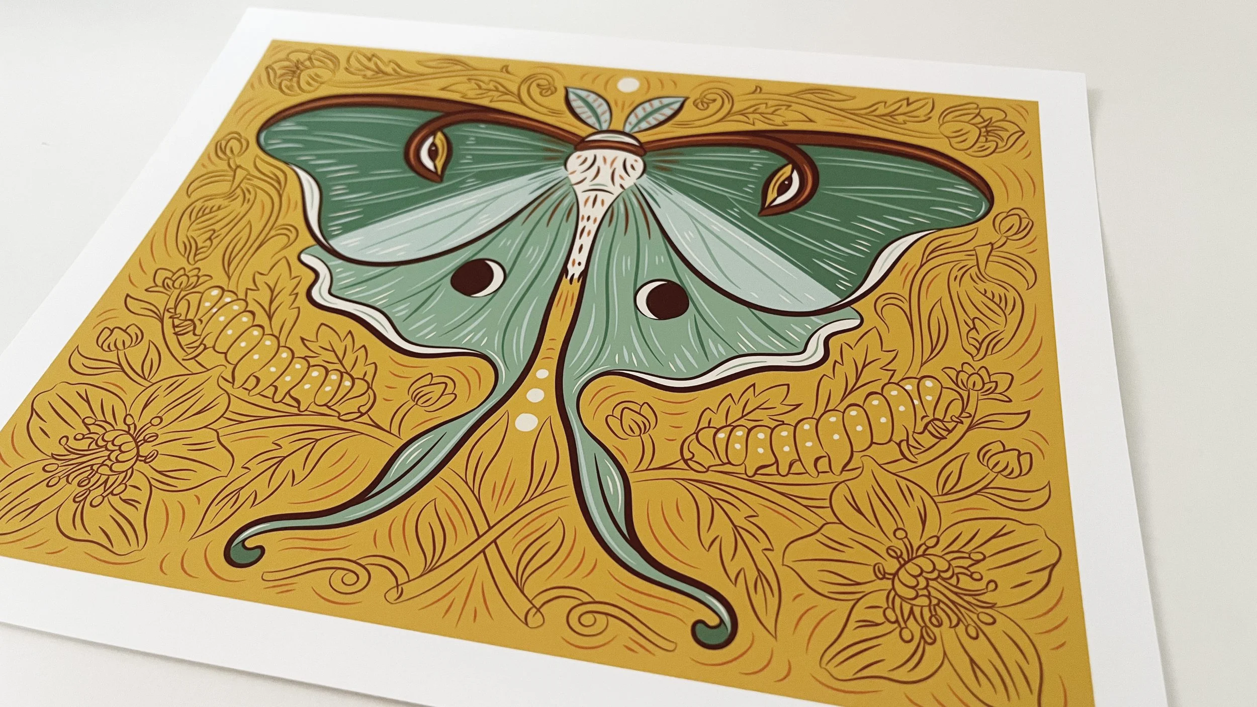 Caitlin-Keegan-Luna-Moth-02.jpg