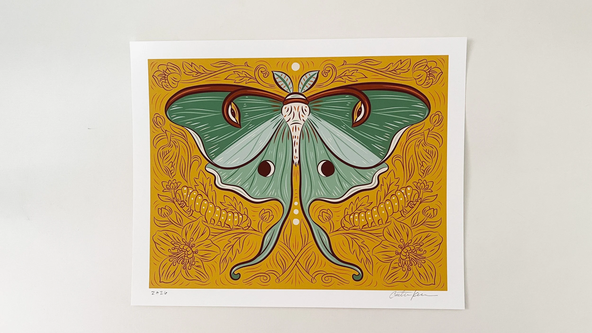 Caitlin-Keegan-Luna-Moth-01.jpg
