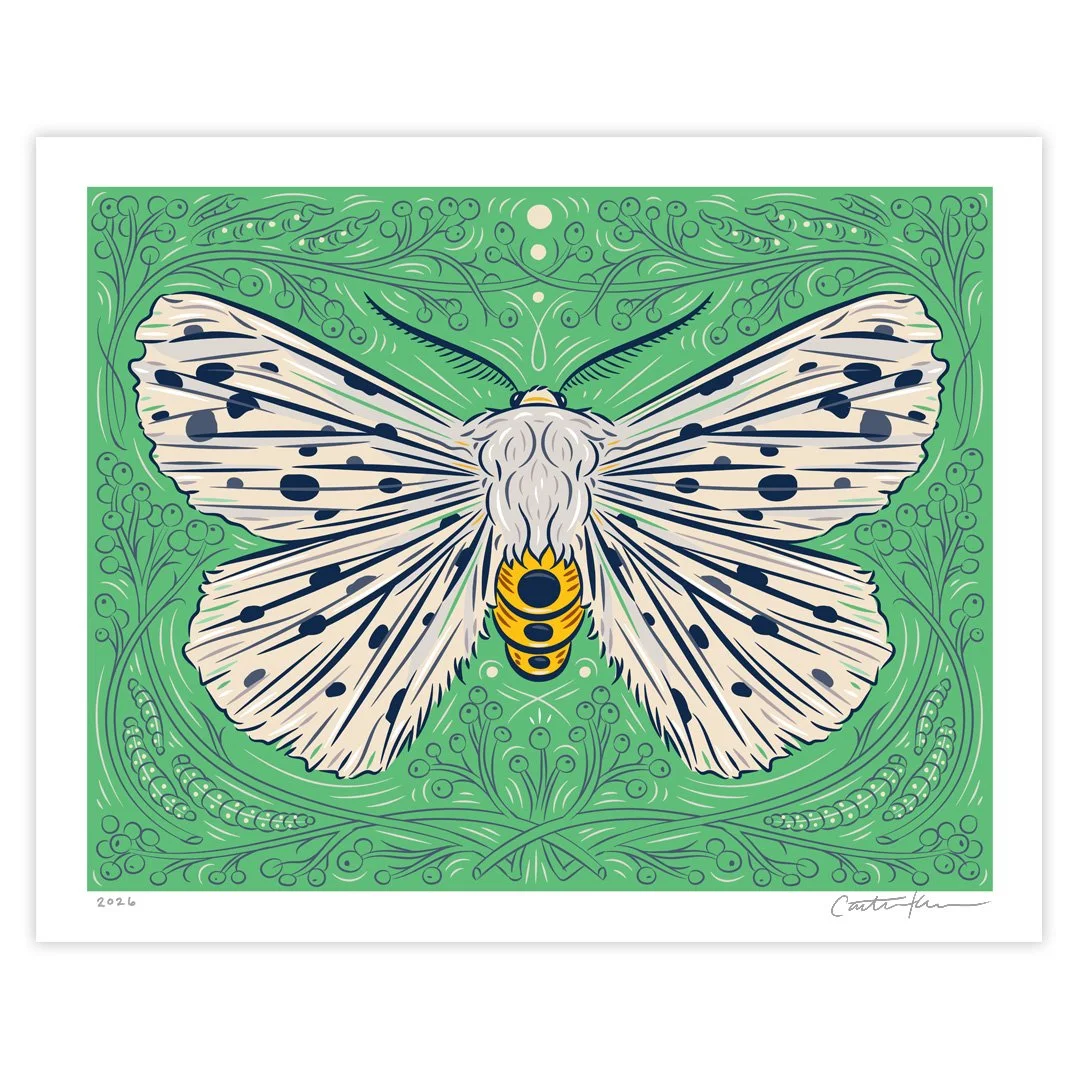 Caitlin-Keegan-Moth-Series-Ermine-Thumbnail.jpg