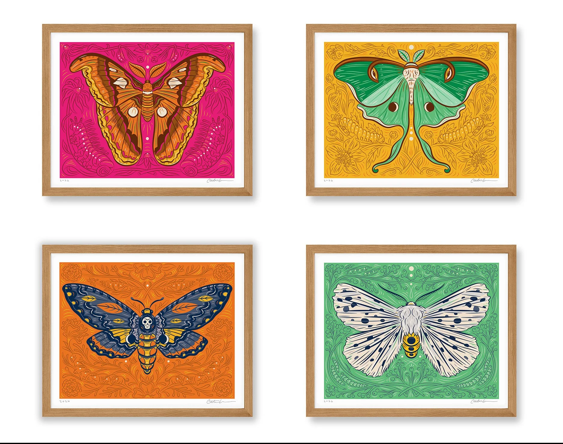 Caitlin-Keegan-Atlas-Moth-Framed..jpg