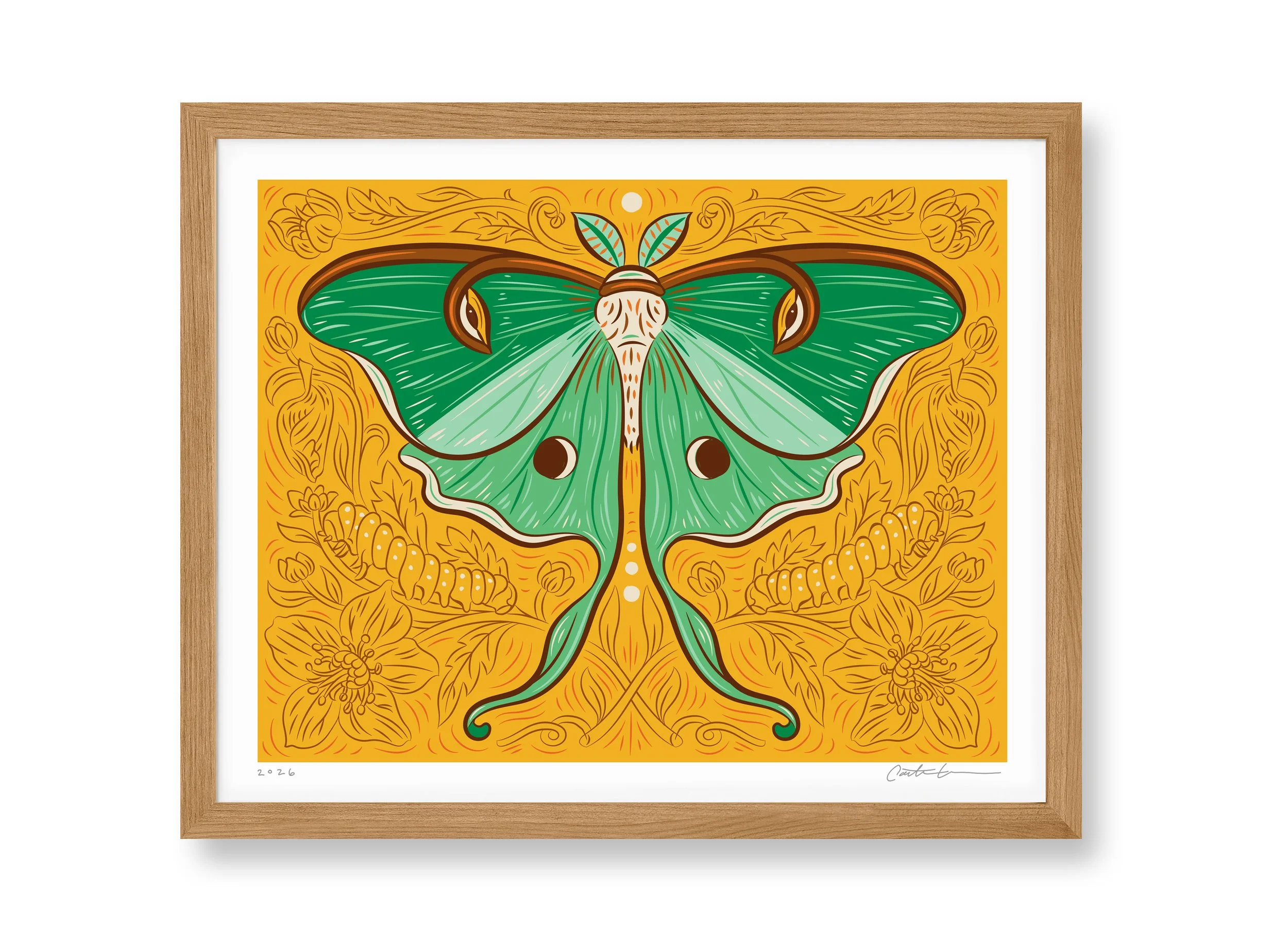 Caitlin-Keegan-Luna-Moth-Framed.jpg