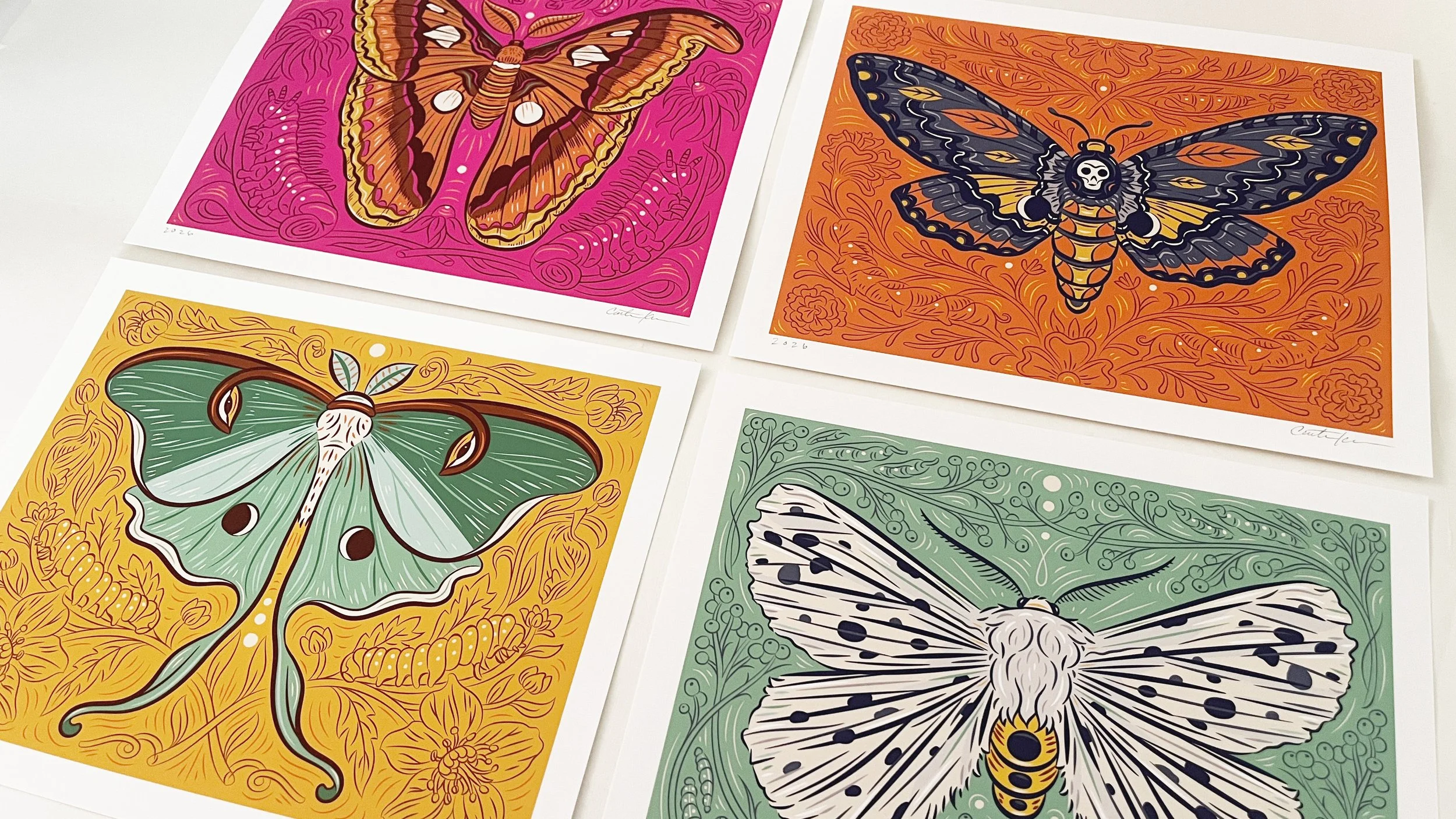 Caitlin-Keegan-Moth-Series-02.jpg