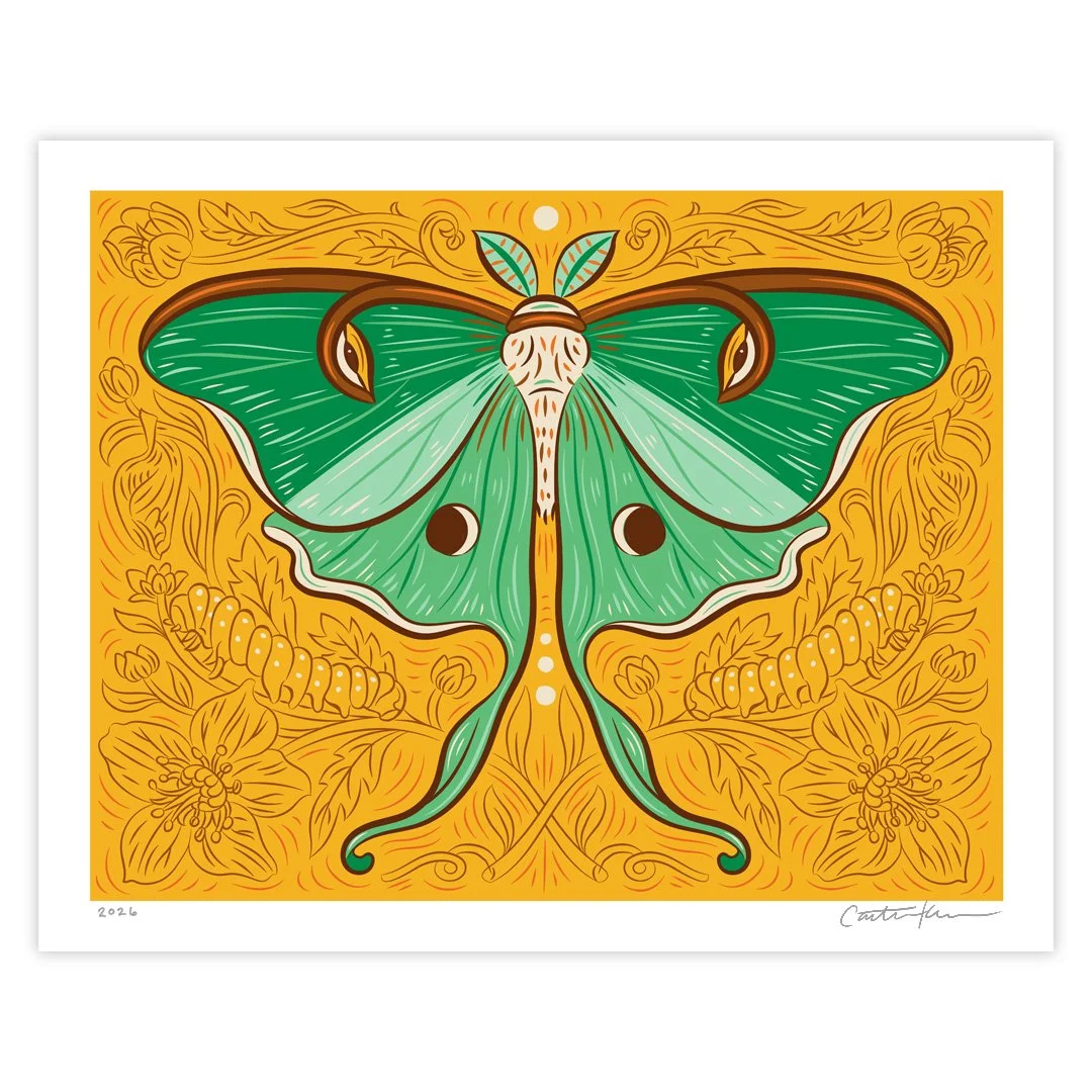 Luna Moth Print