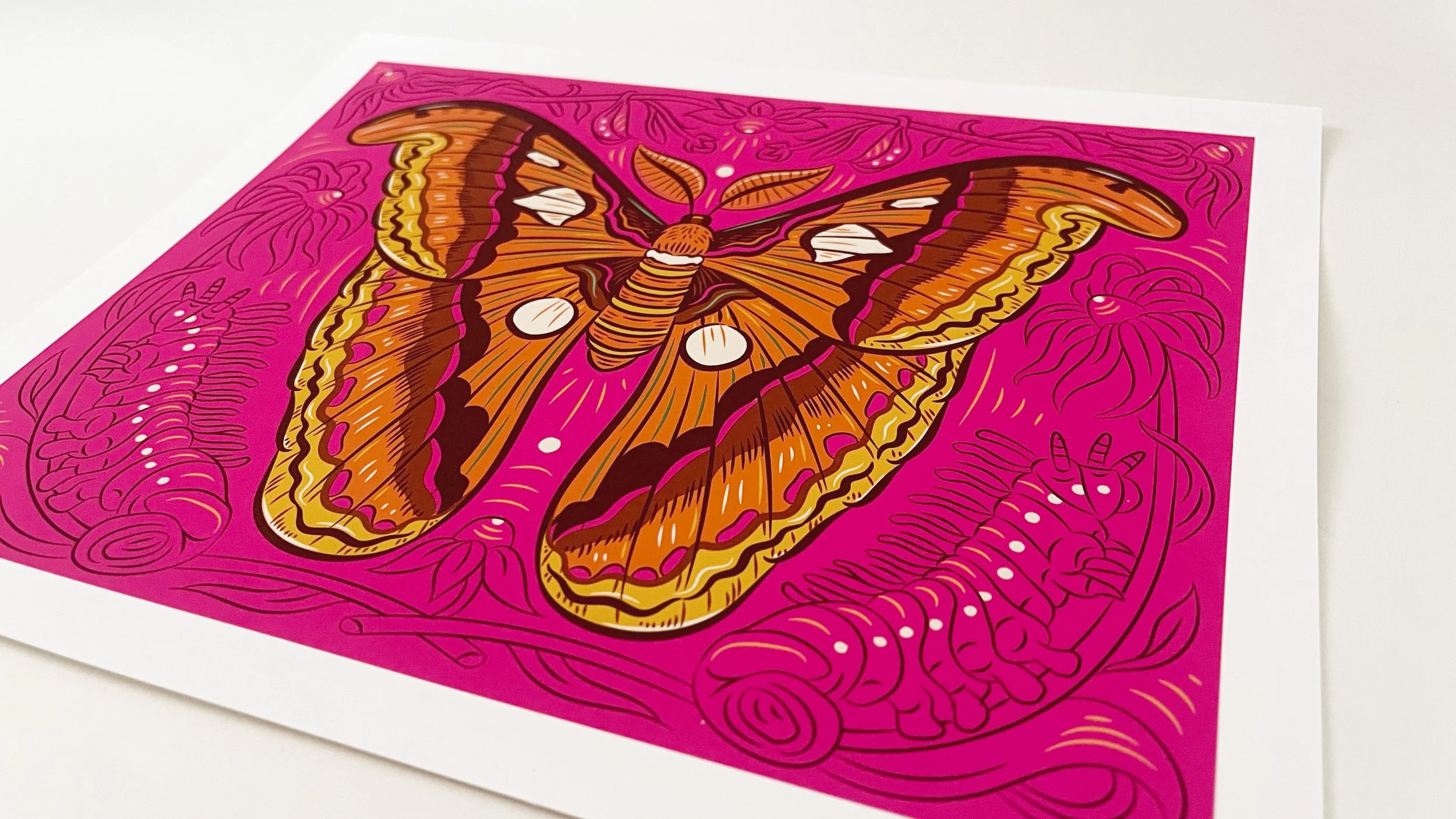 Caitlin-Keegan-Atlas-Moth-02..jpg