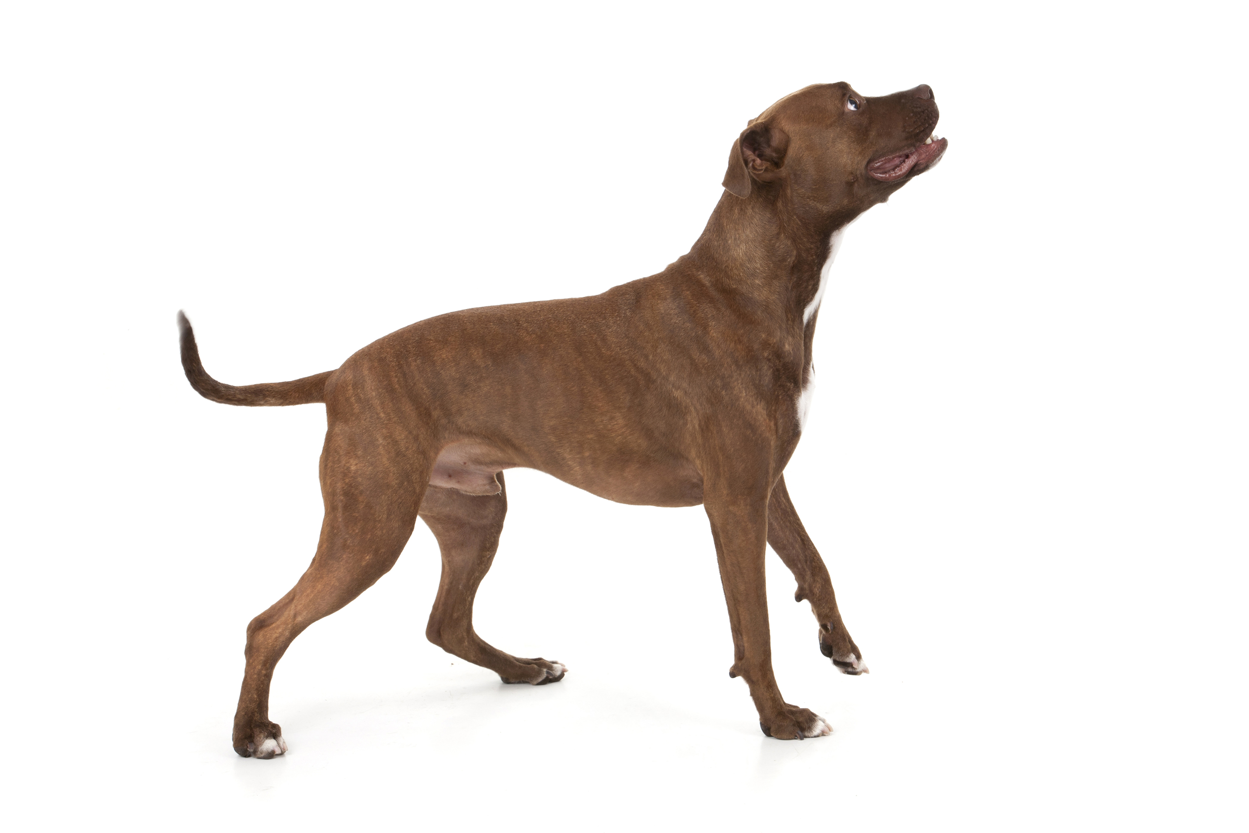 Max-010.jpg